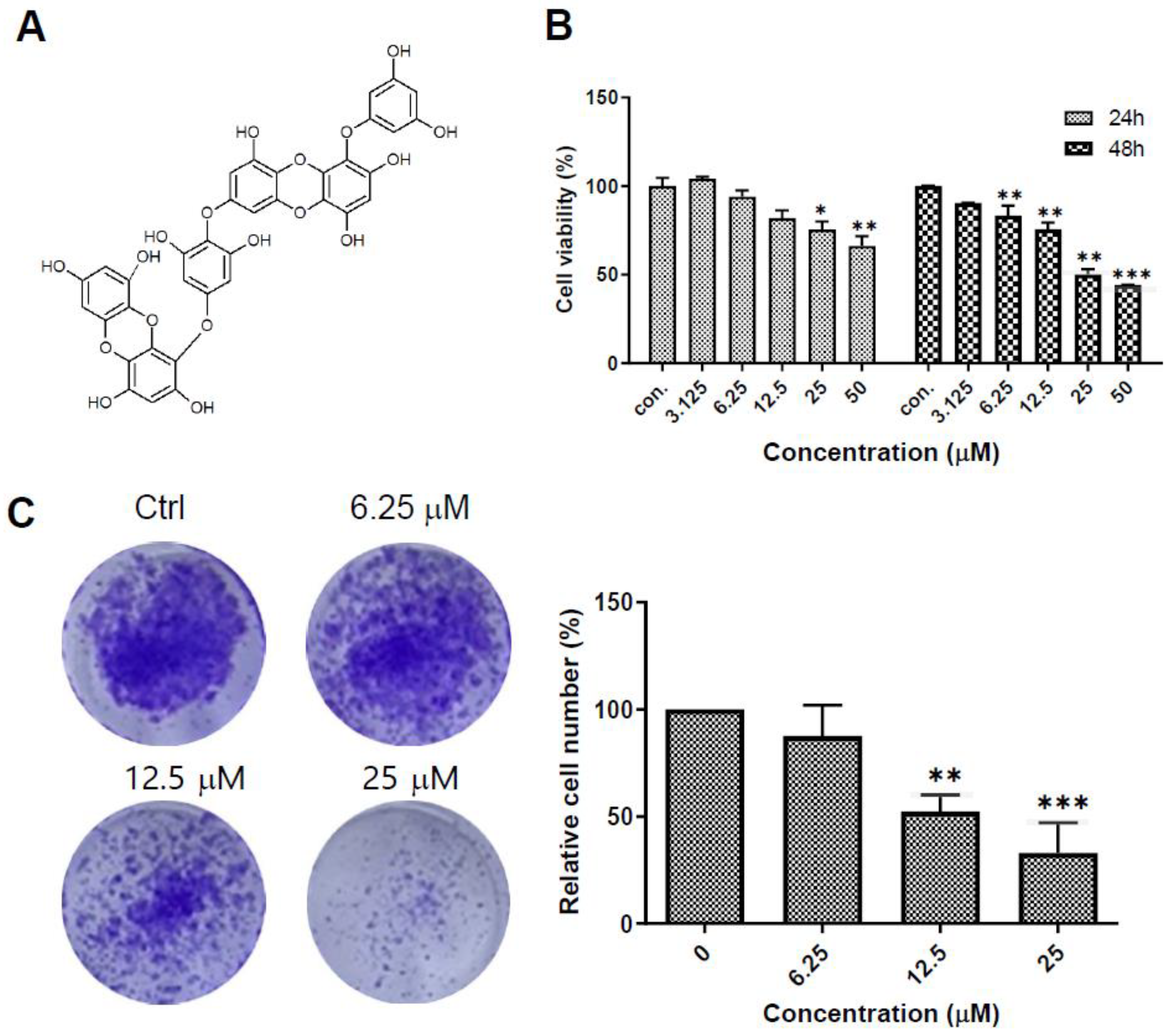 https://www.mdpi.com/ijms/ijms-23-14149/article_deploy/html/images/ijms-23-14149-g001.png