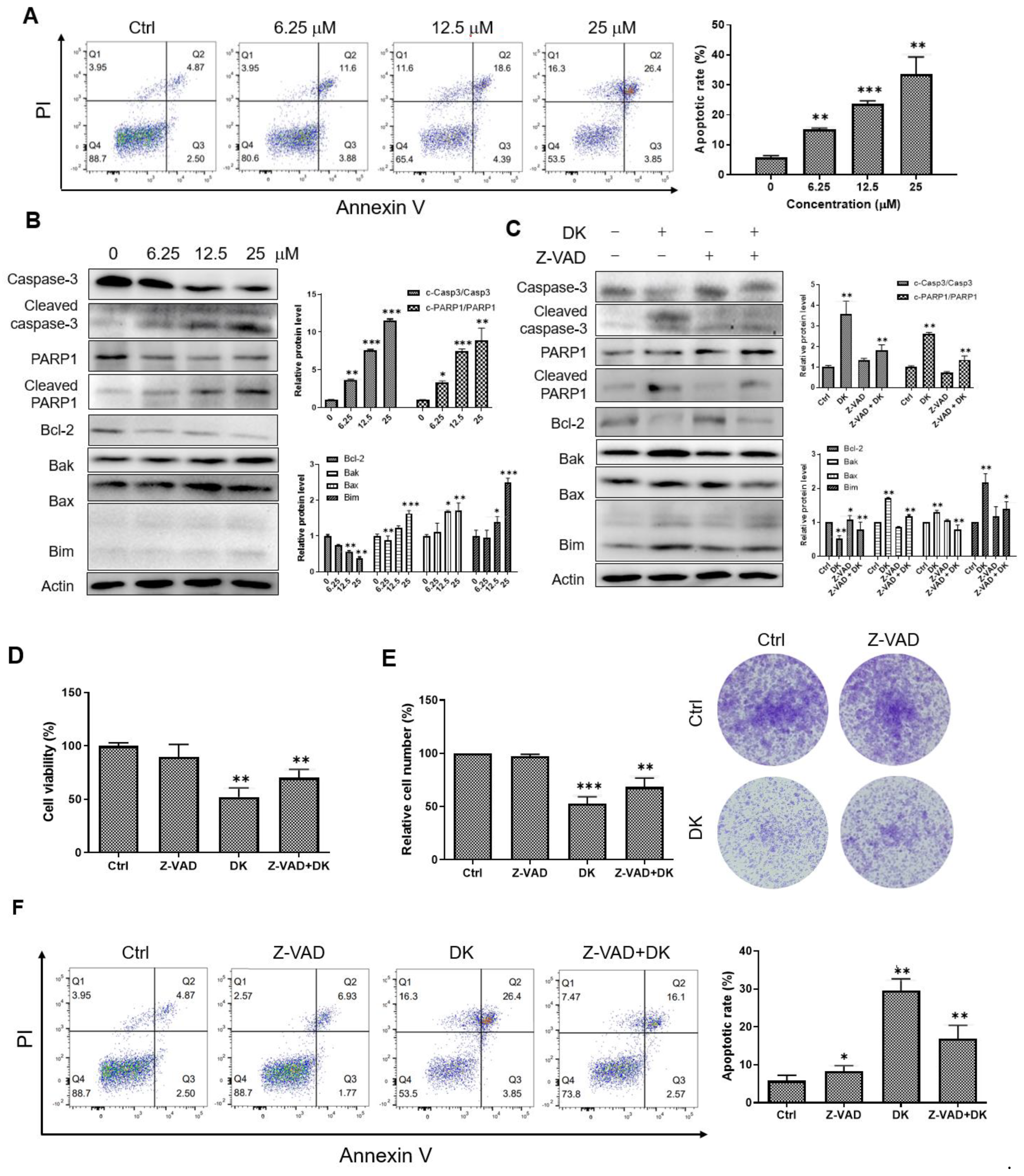 Ijms 23 14149 g002 Ijms 23 14149 g002