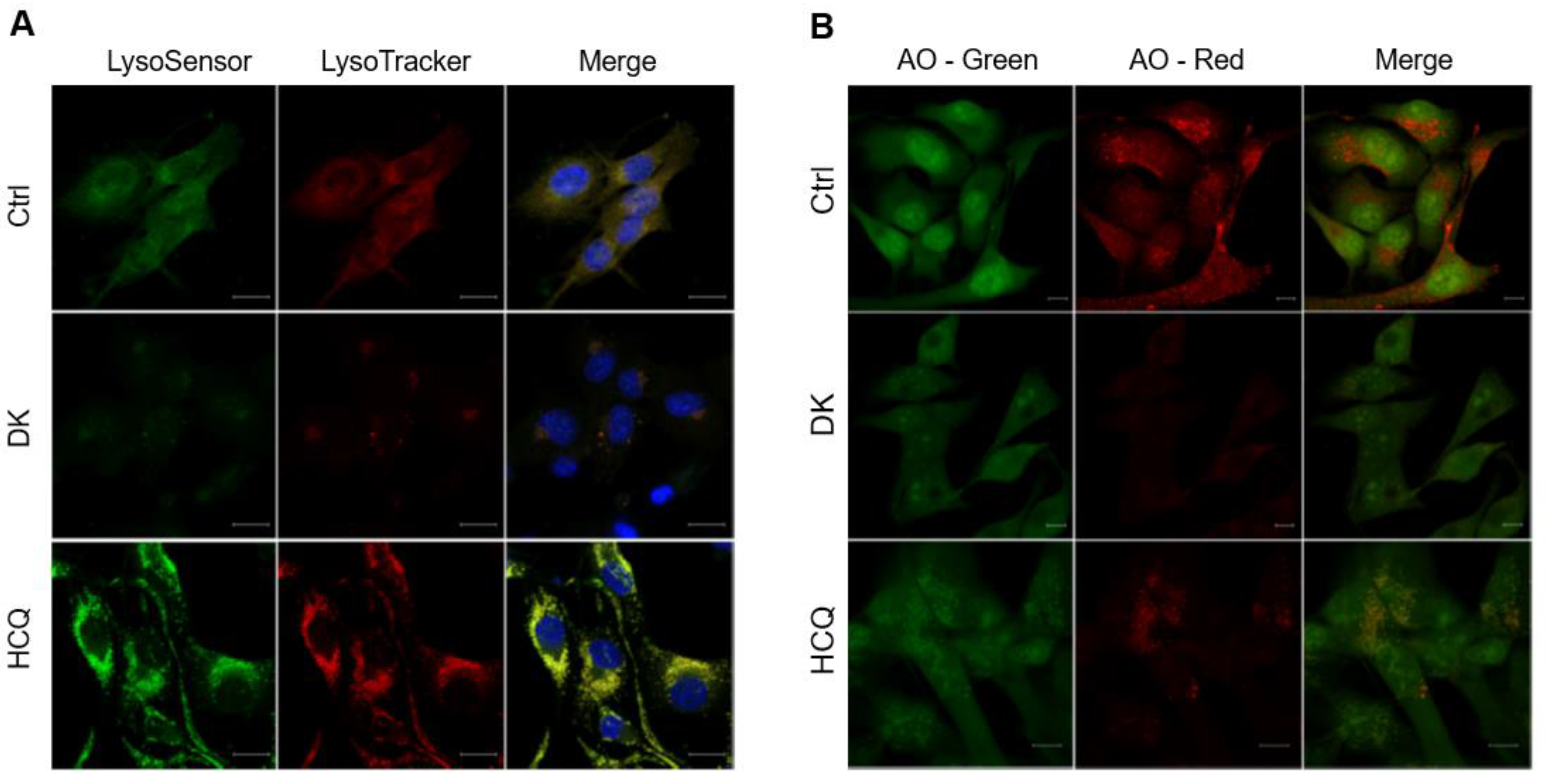 Ijms 23 14149 g005 Ijms 23 14149 g005