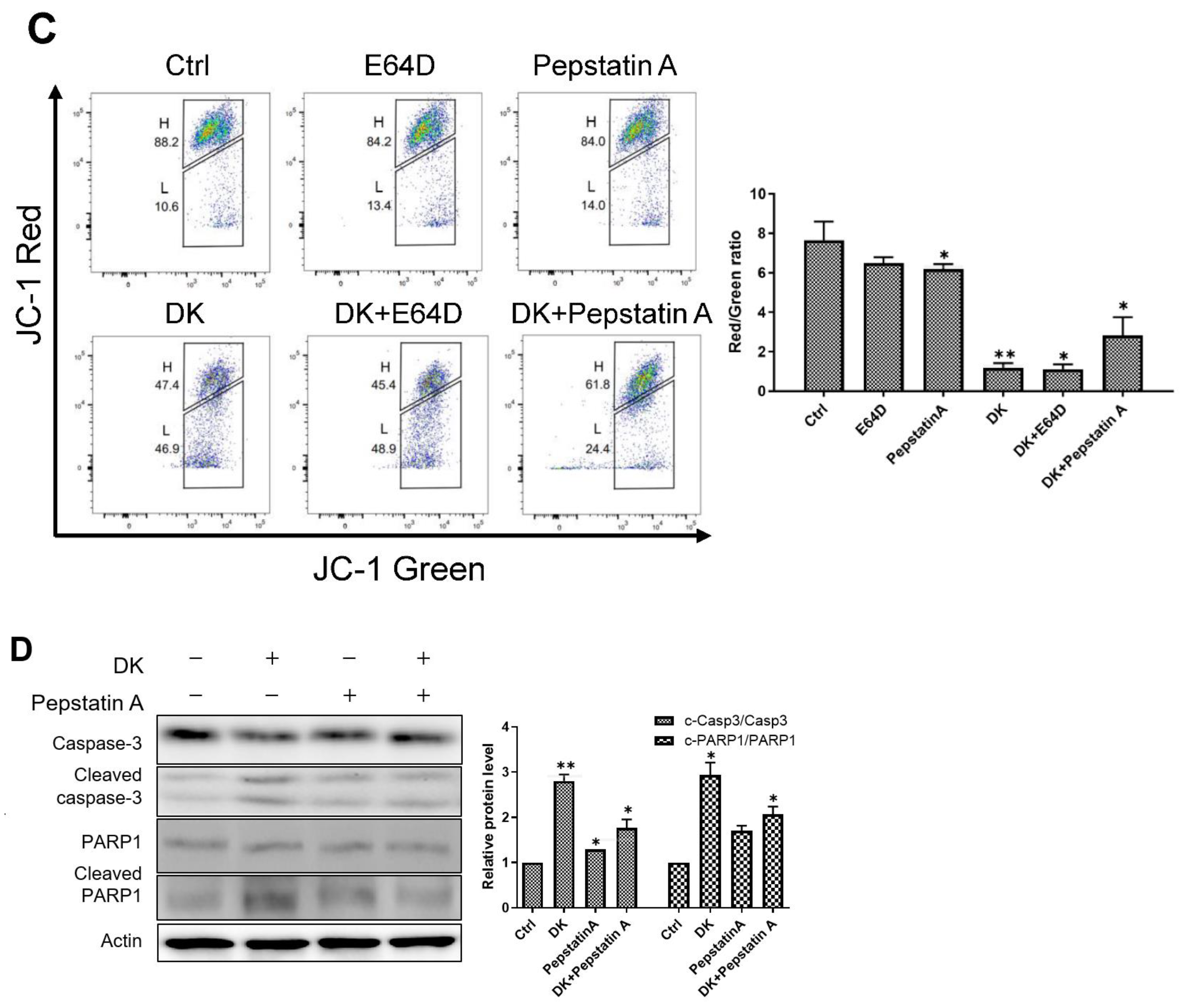 Ijms 23 14149 g007b Ijms 23 14149 g007b