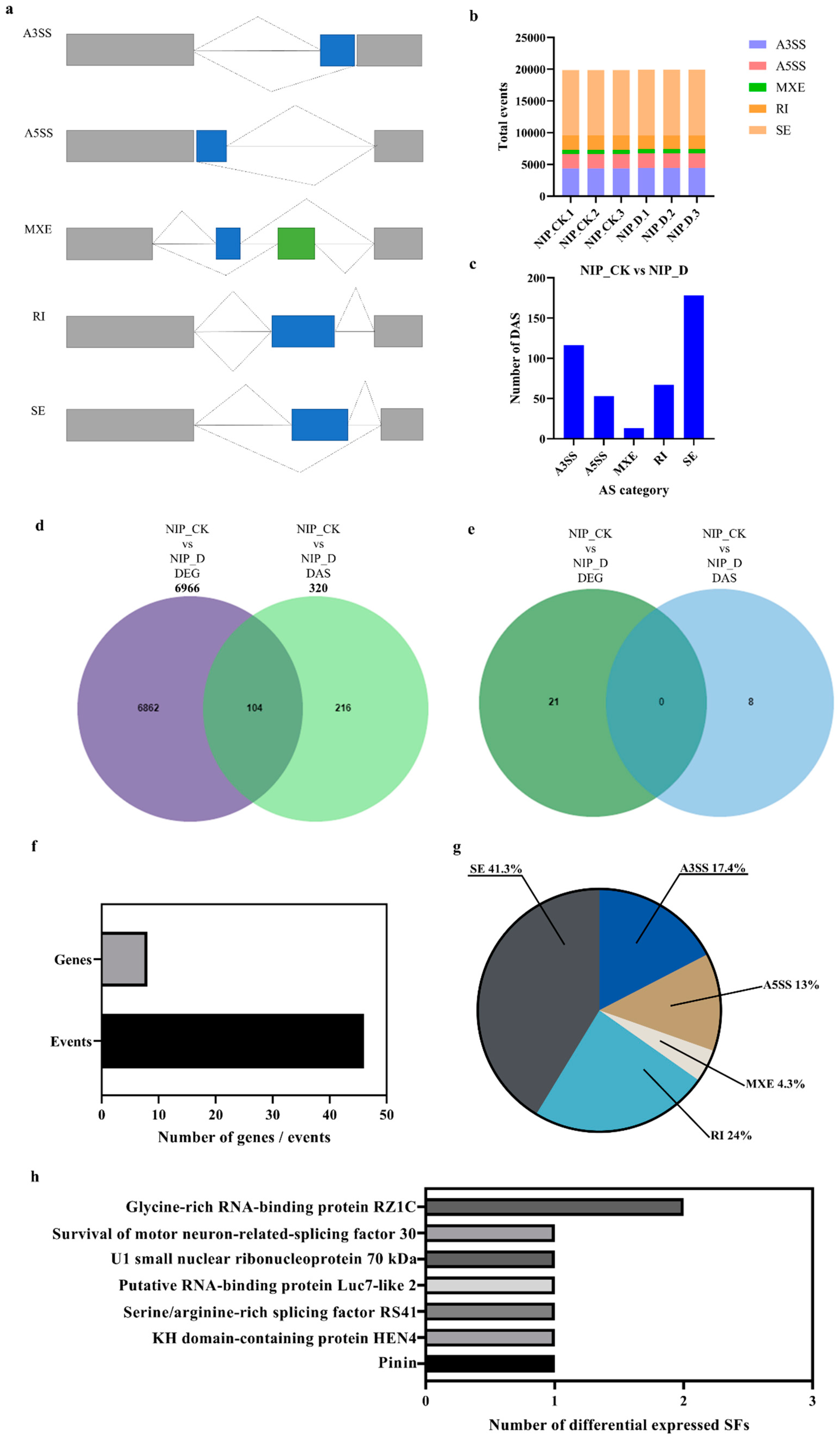 Ijms 23 14172 g007 Ijms 23 14172 g007