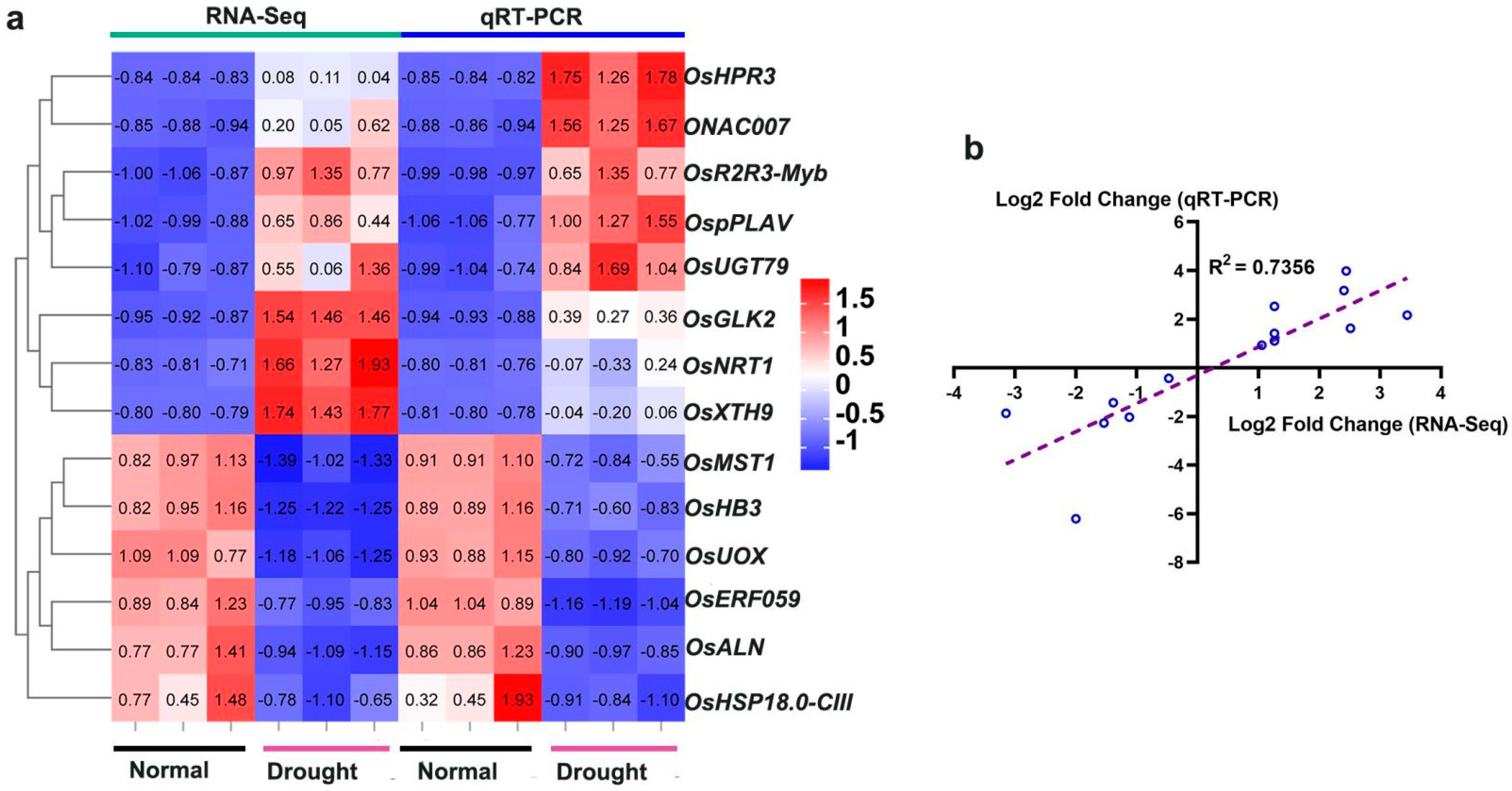 Ijms 23 14172 g008 Ijms 23 14172 g008