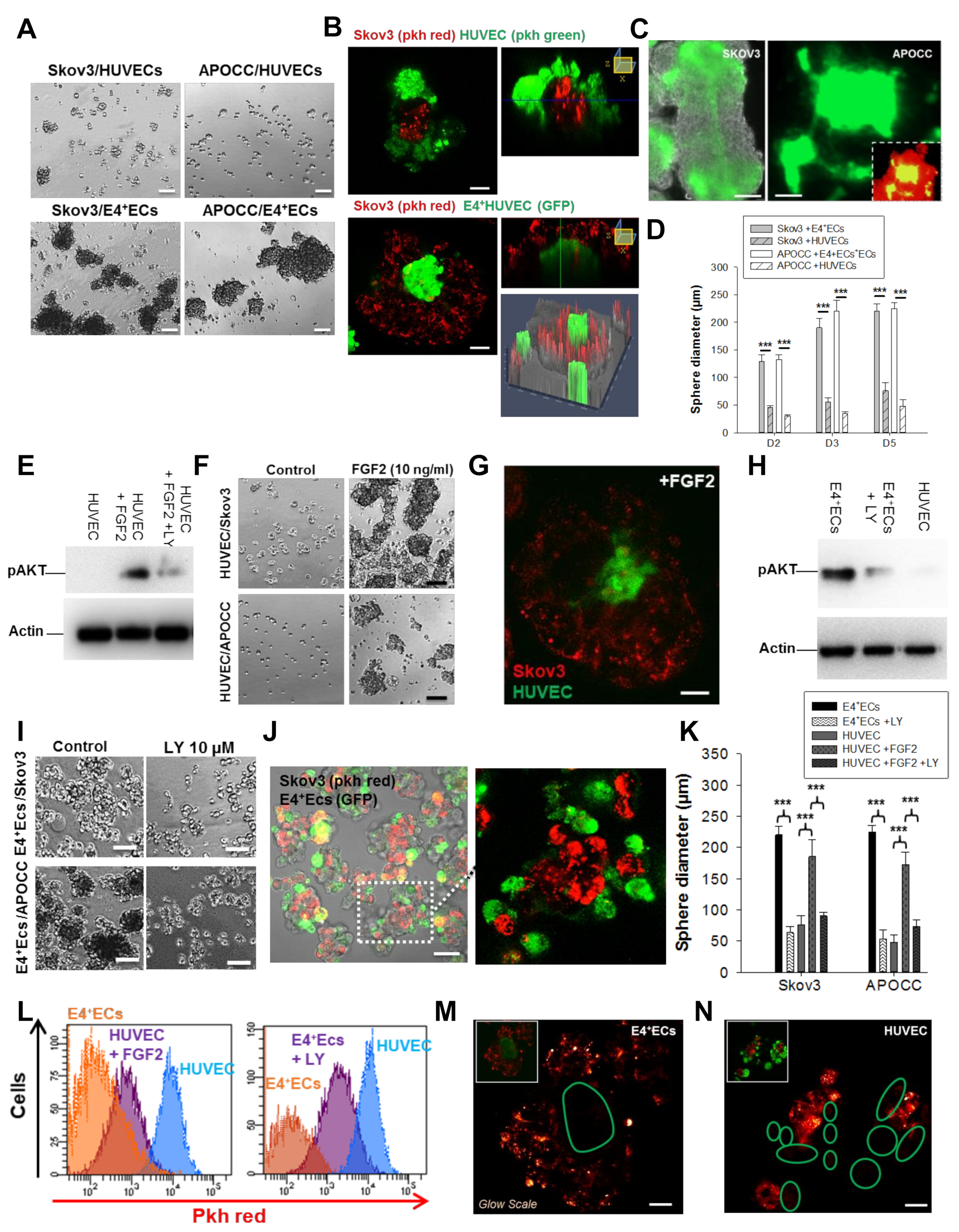 Ijms 23 14173 g001 Ijms 23 14173 g001