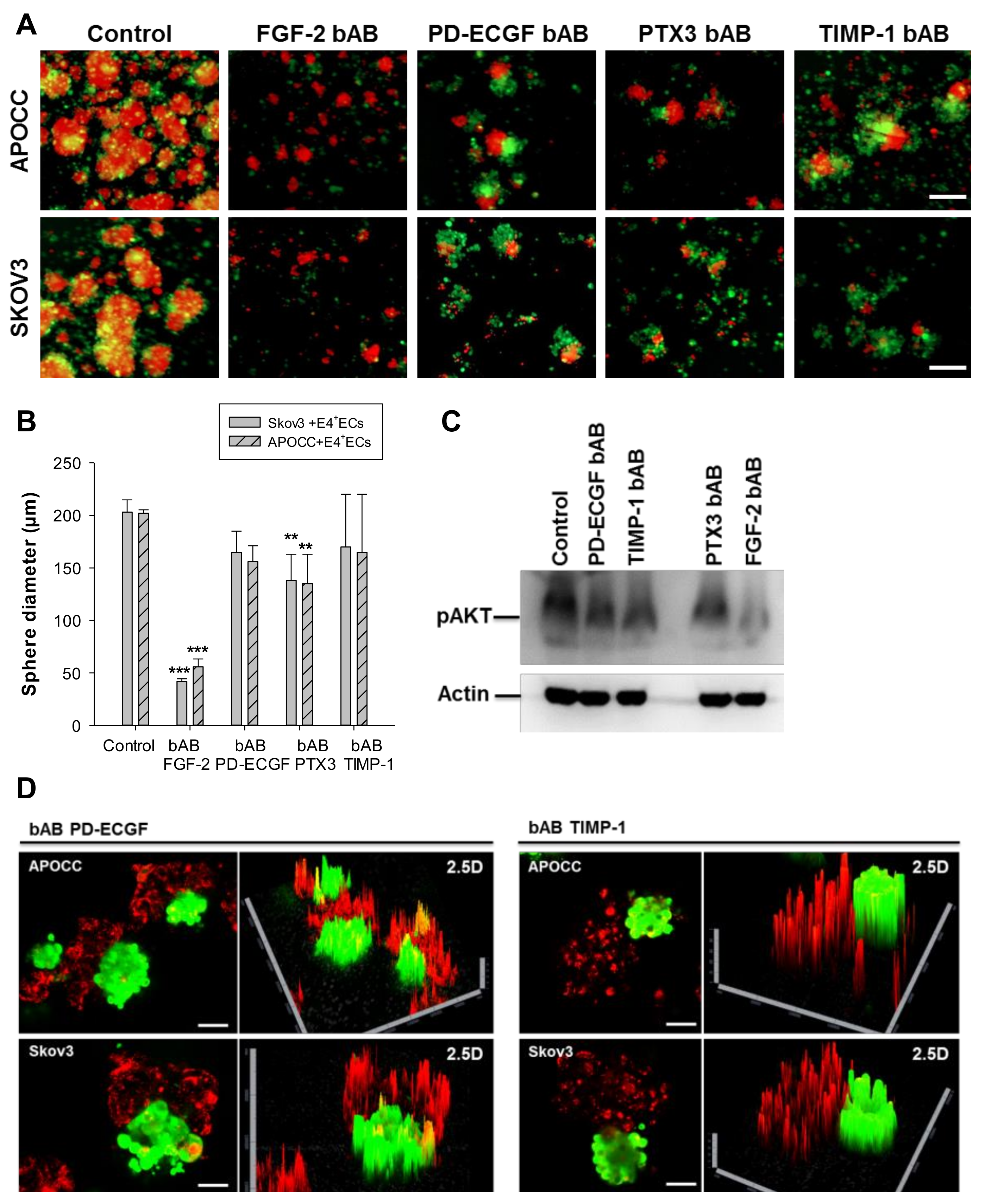 Ijms 23 14173 g003 Ijms 23 14173 g003