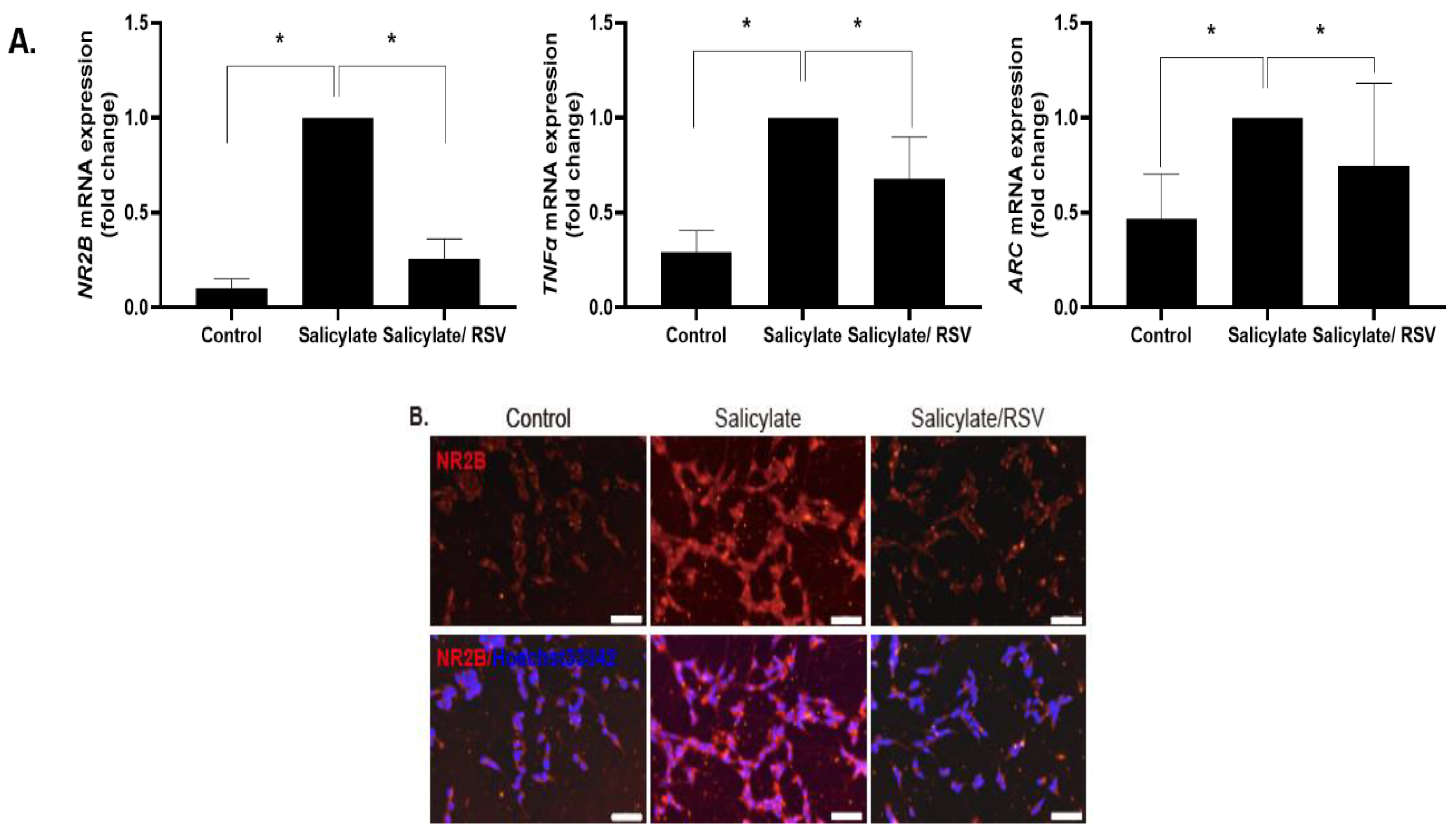 Ijms 23 14183 g001a Ijms 23 14183 g001a