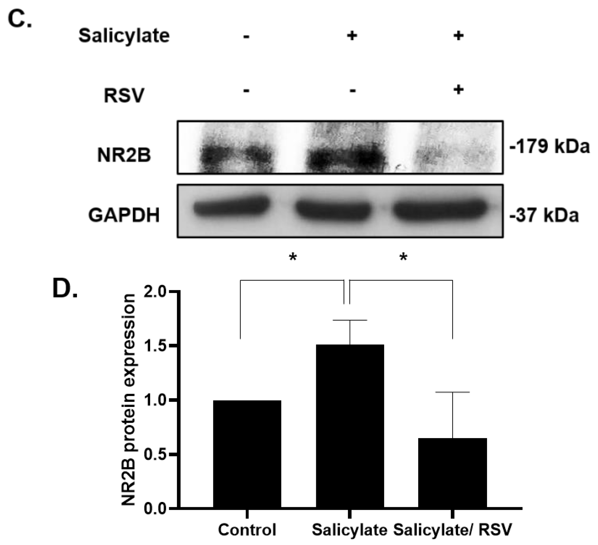 Ijms 23 14183 g001b Ijms 23 14183 g001b