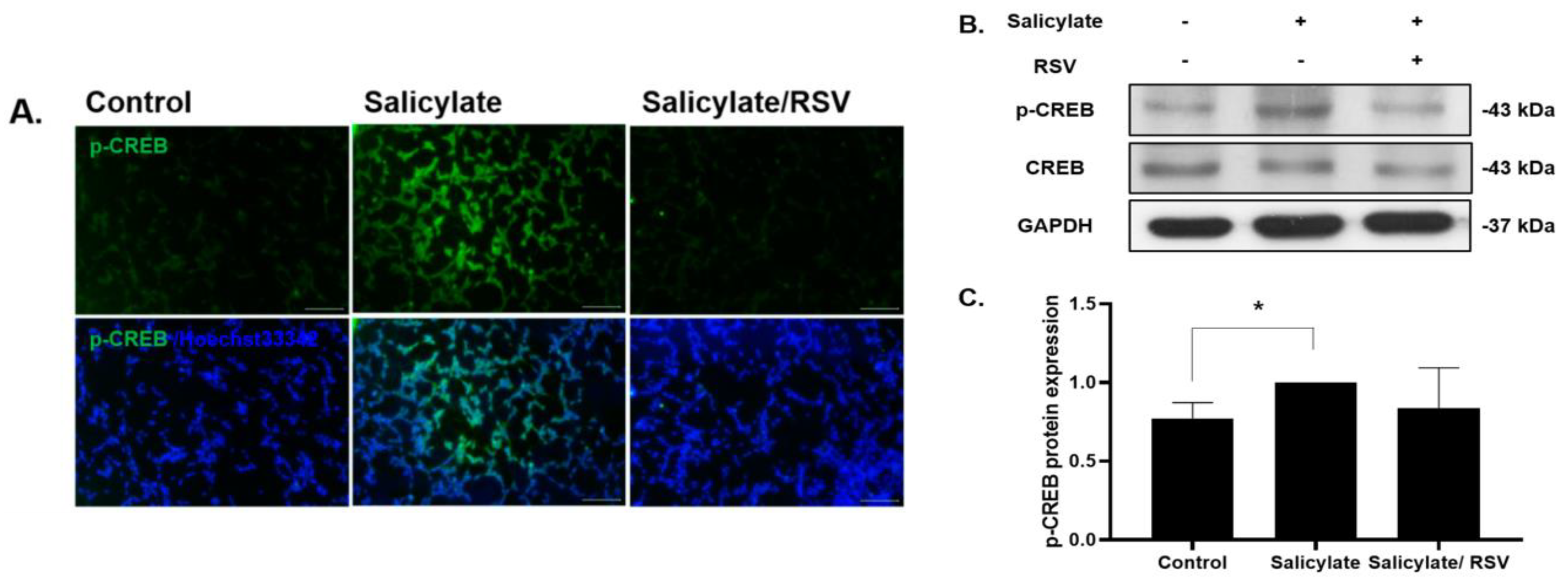 Ijms 23 14183 g002 Ijms 23 14183 g002