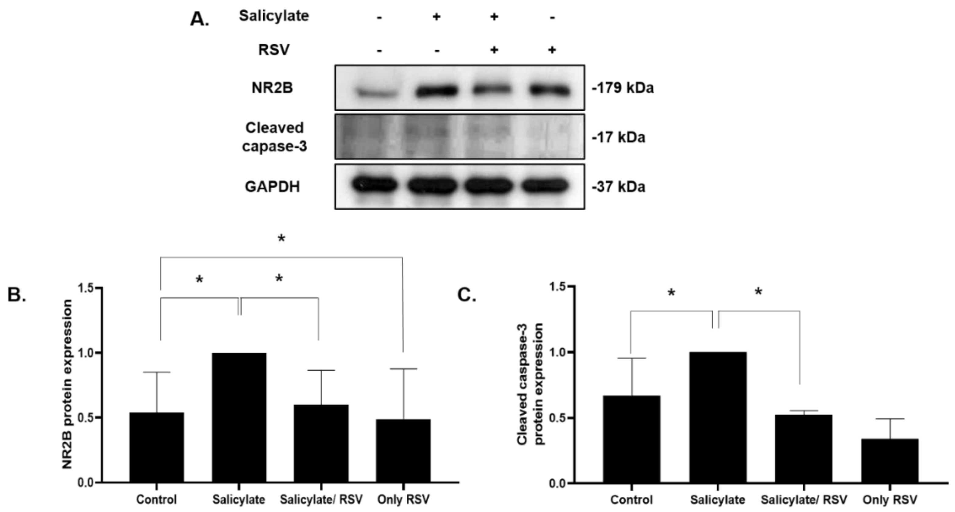 Ijms 23 14183 g004 Ijms 23 14183 g004