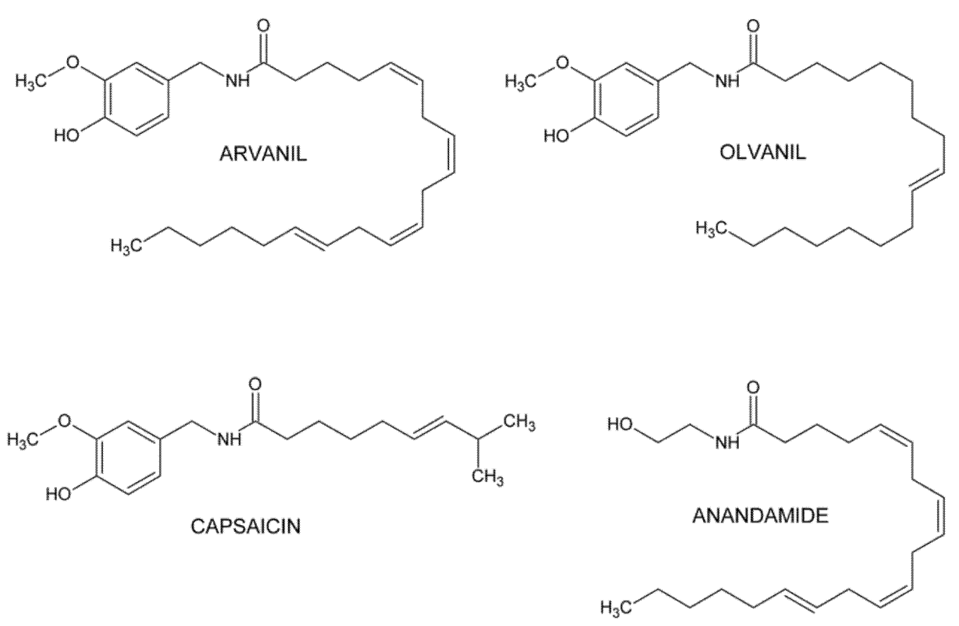 Ijms 23 14192 g001 Ijms 23 14192 g001