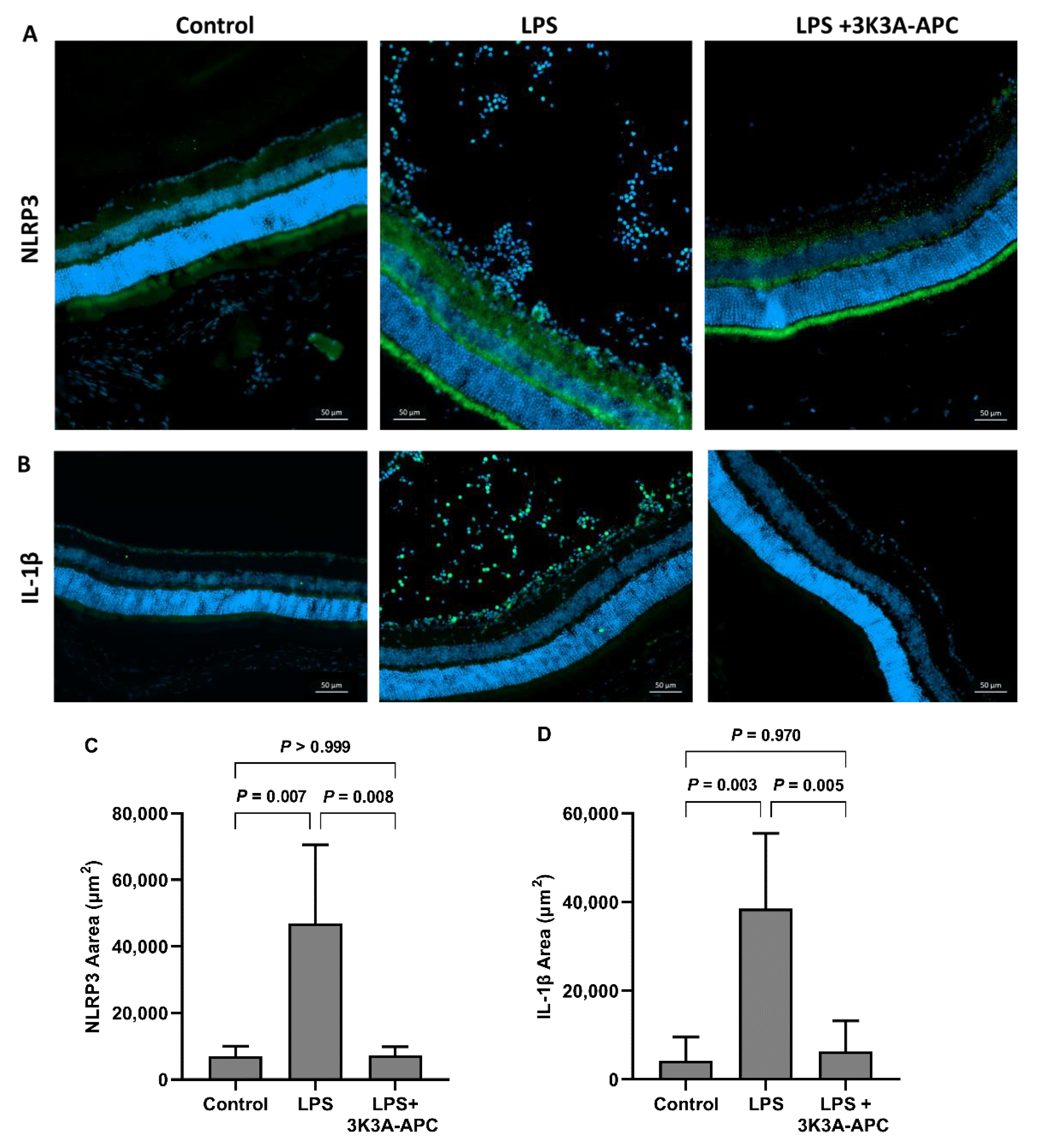 Ijms 23 14196 g005 Ijms 23 14196 g005