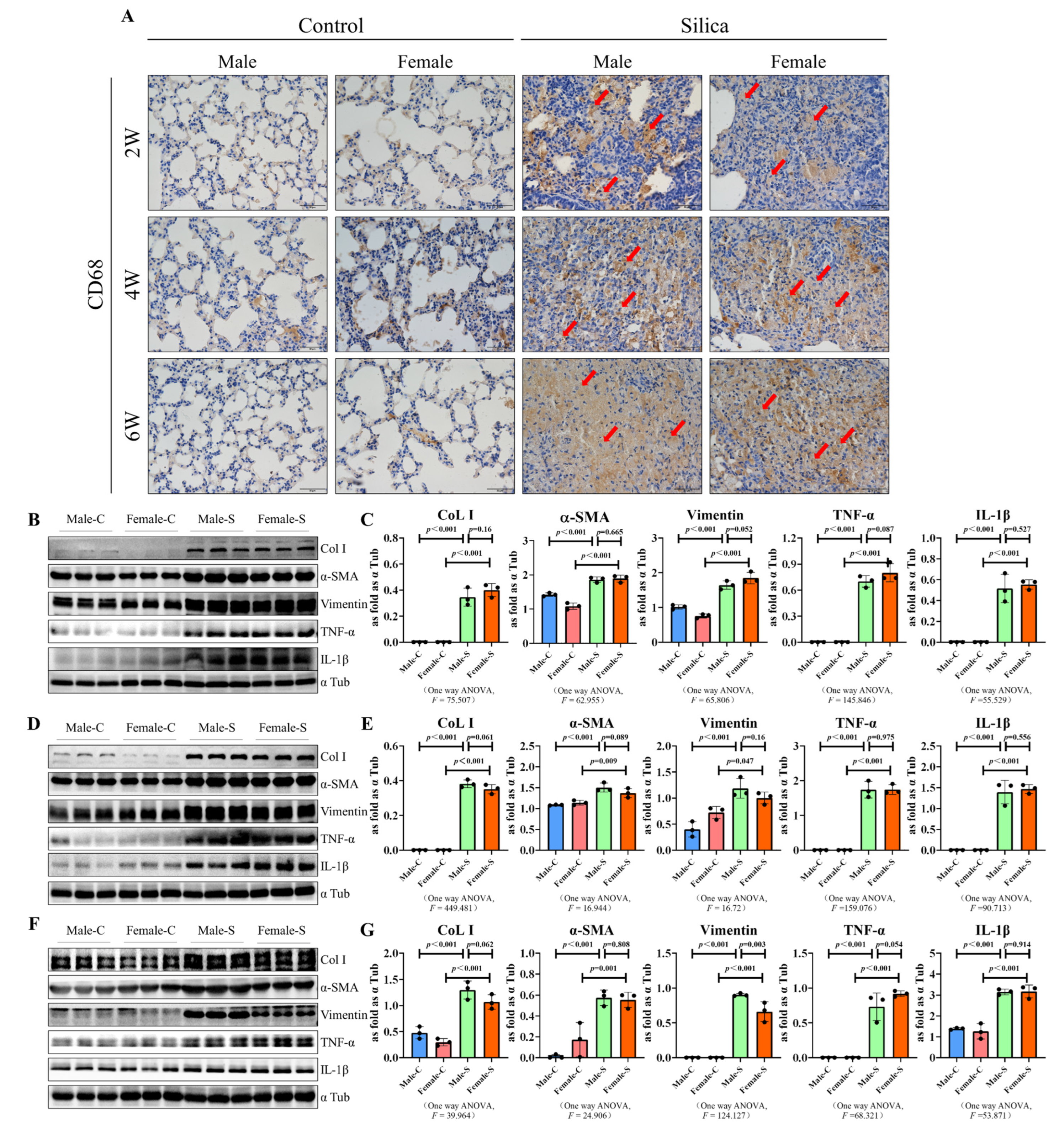 Ijms 23 14203 g004 Ijms 23 14203 g004