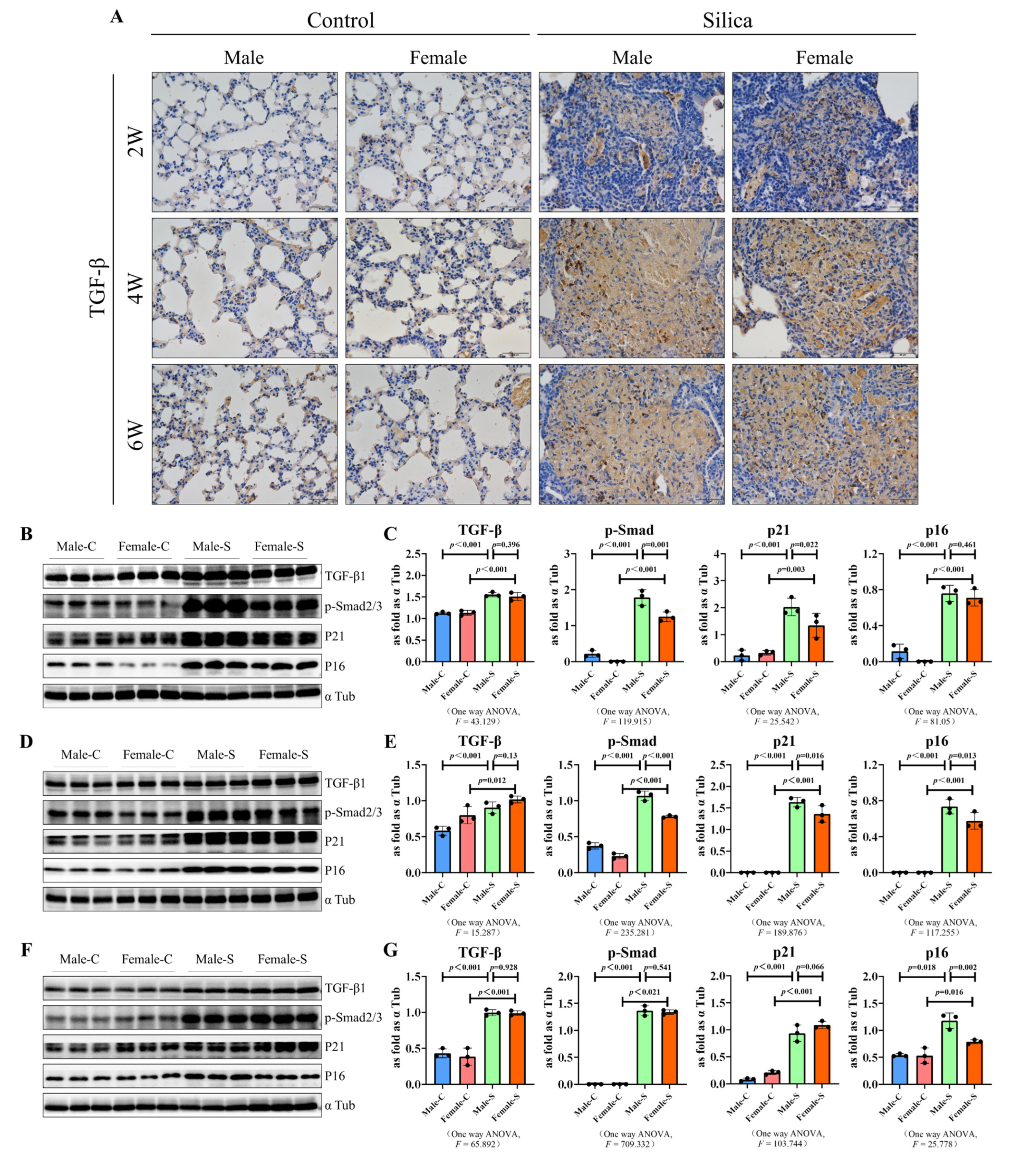Ijms 23 14203 g005 Ijms 23 14203 g005