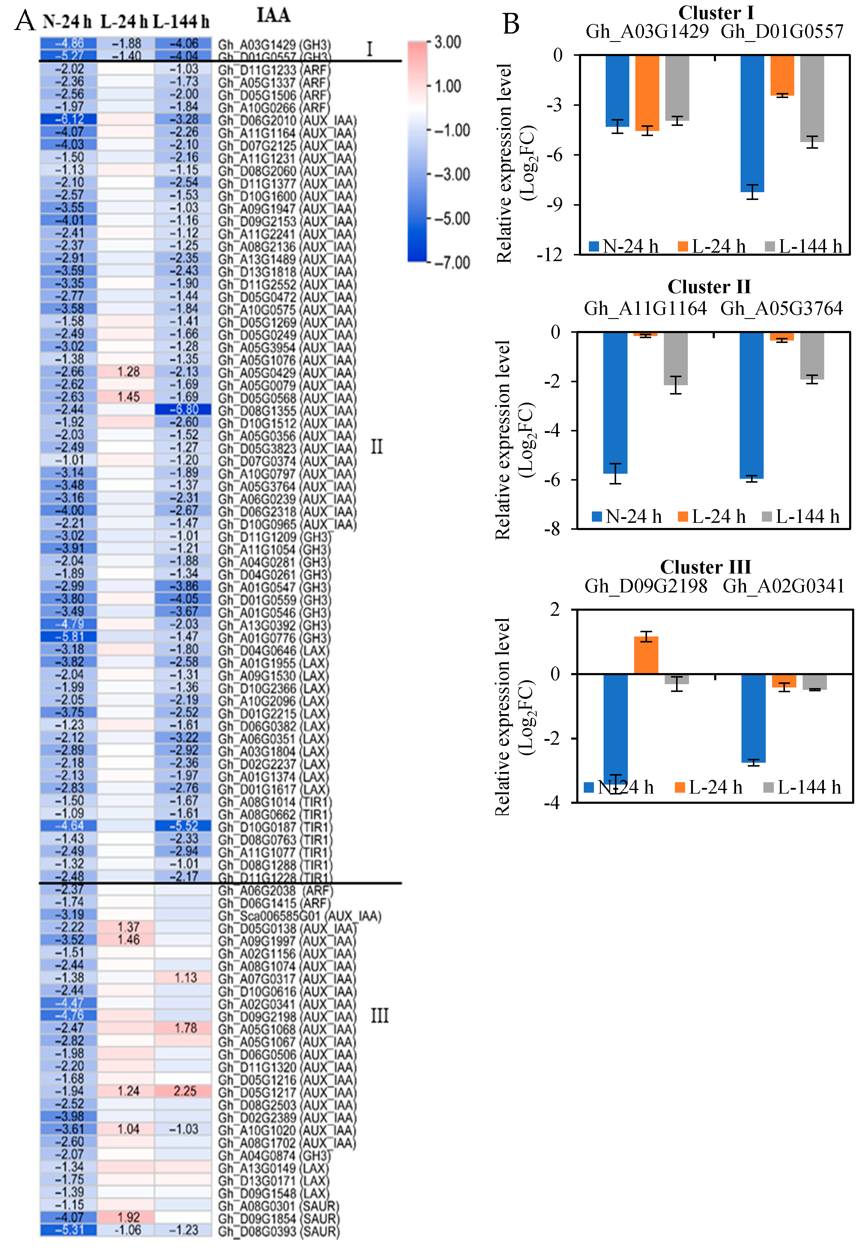 Ijms 23 14208 g003 Ijms 23 14208 g003