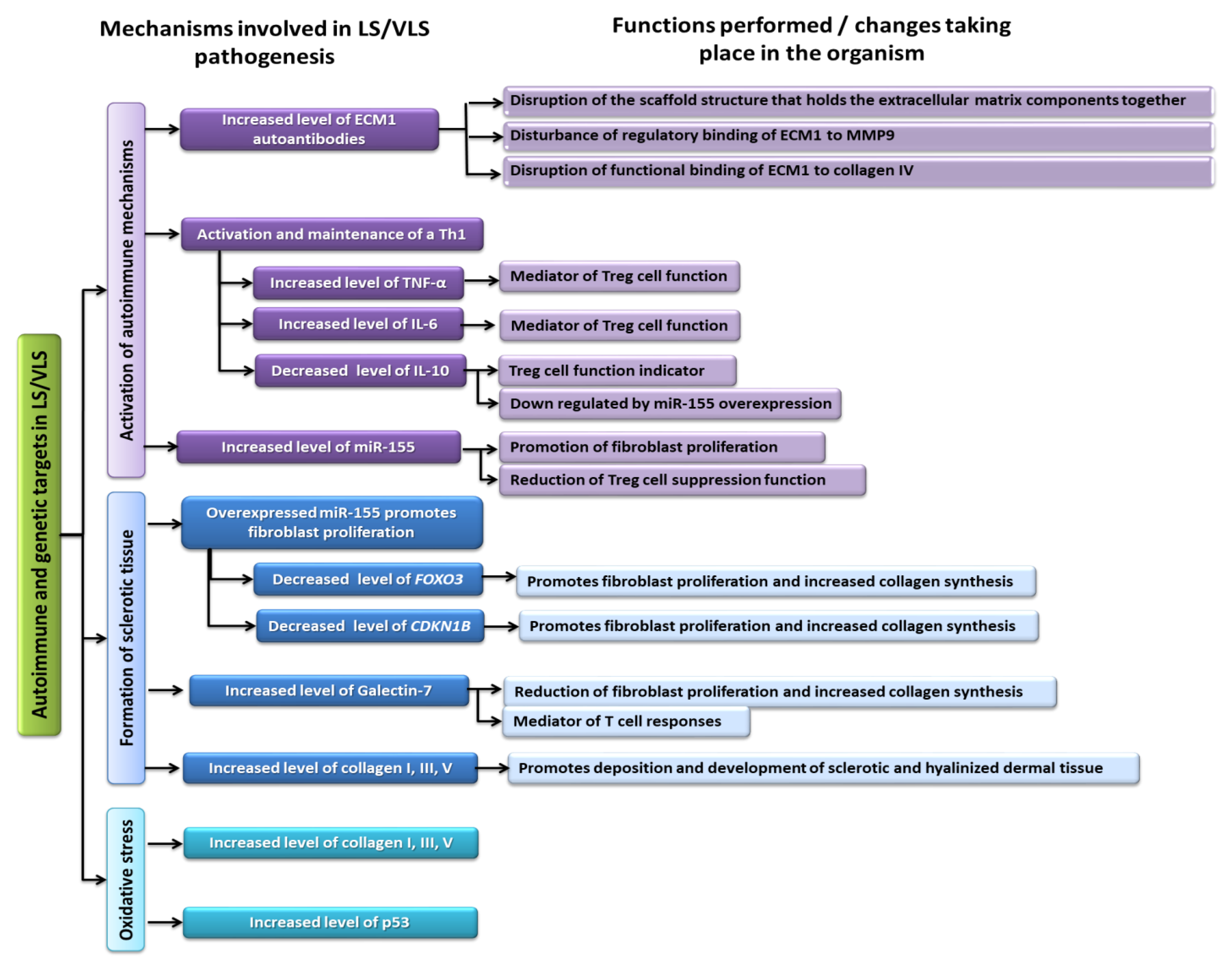 Ijms 23 14212 g005 Ijms 23 14212 g005