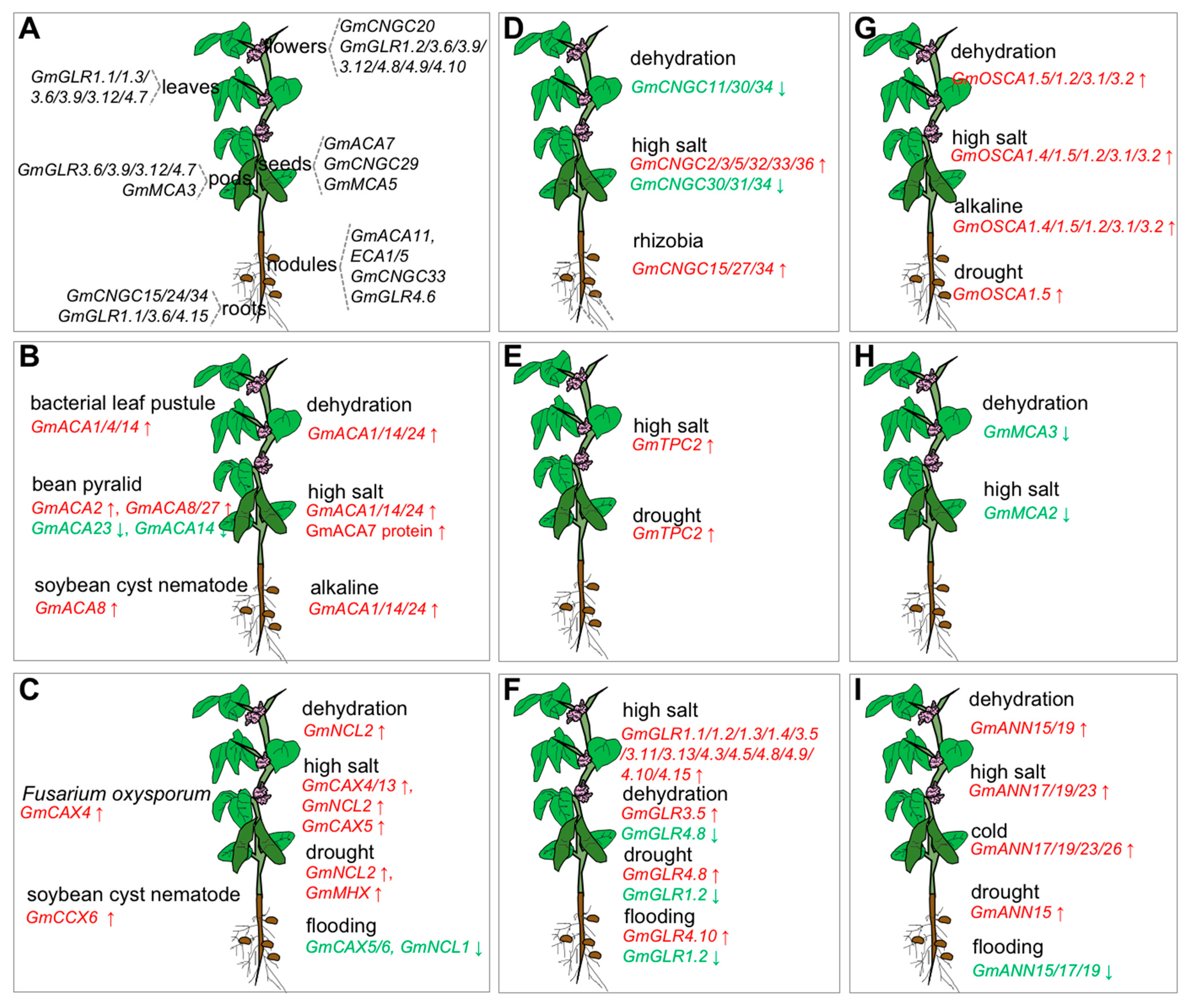 Ijms 23 14220 g002 Ijms 23 14220 g002