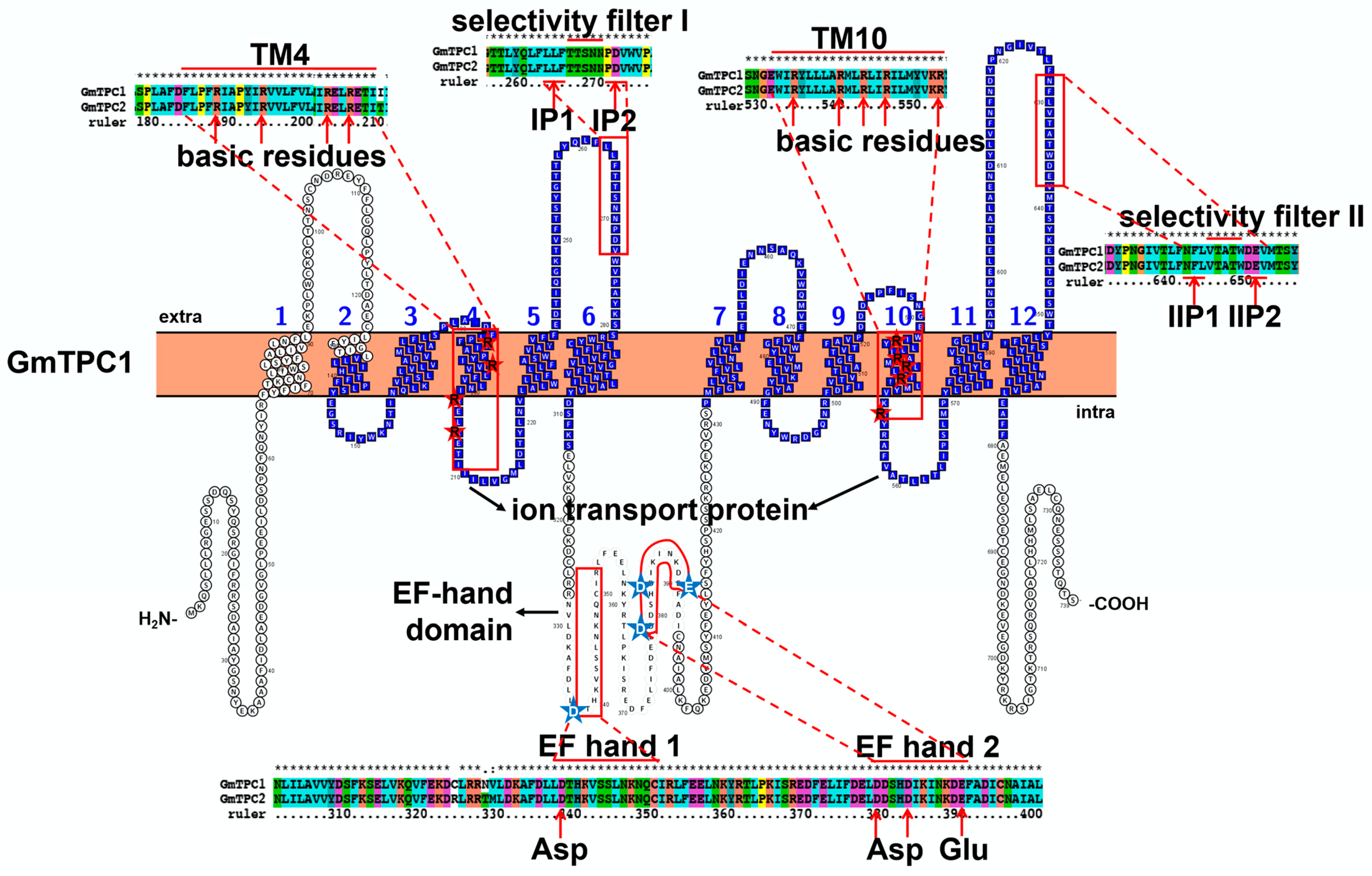 Ijms 23 14220 g005 Ijms 23 14220 g005