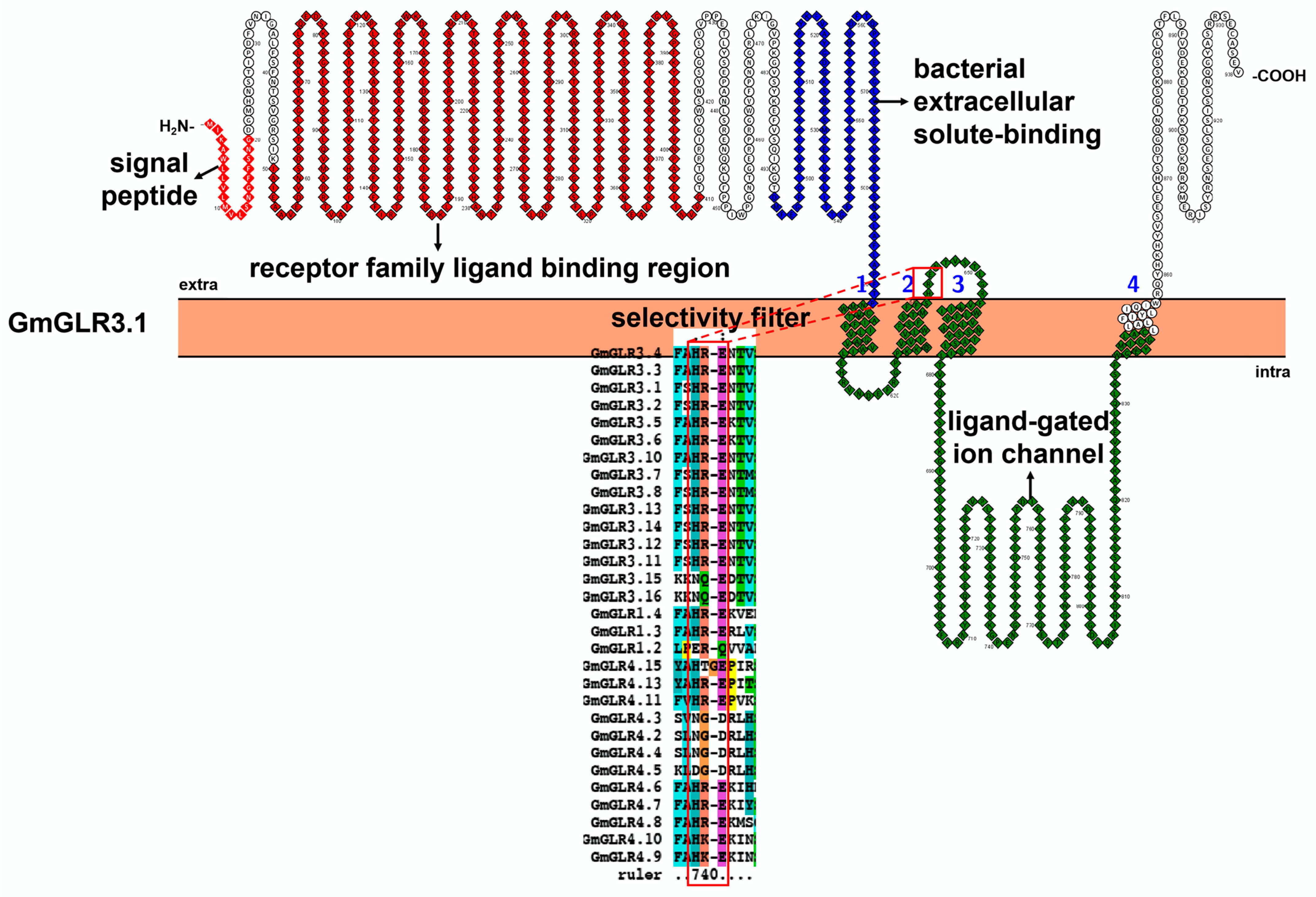 Ijms 23 14220 g006 Ijms 23 14220 g006