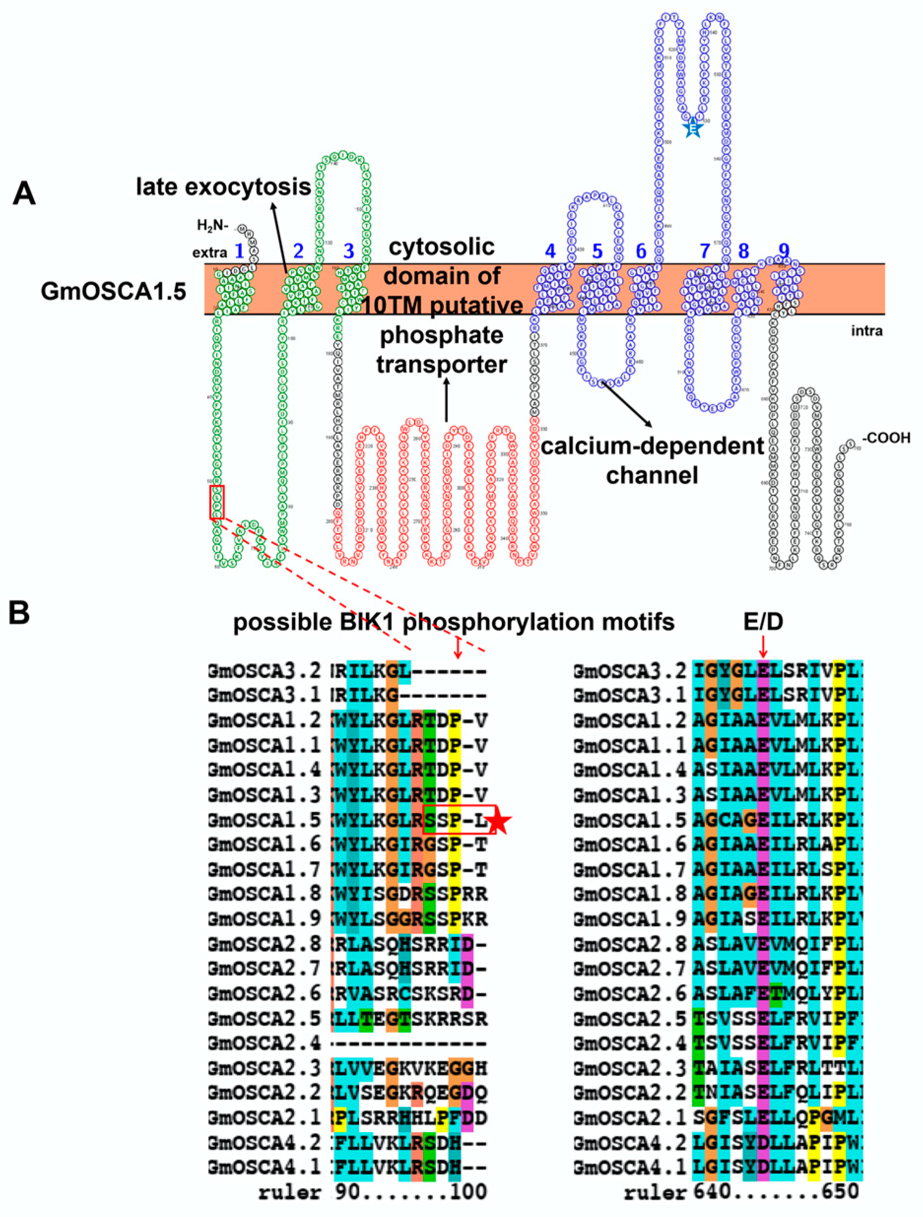 Ijms 23 14220 g007 Ijms 23 14220 g007