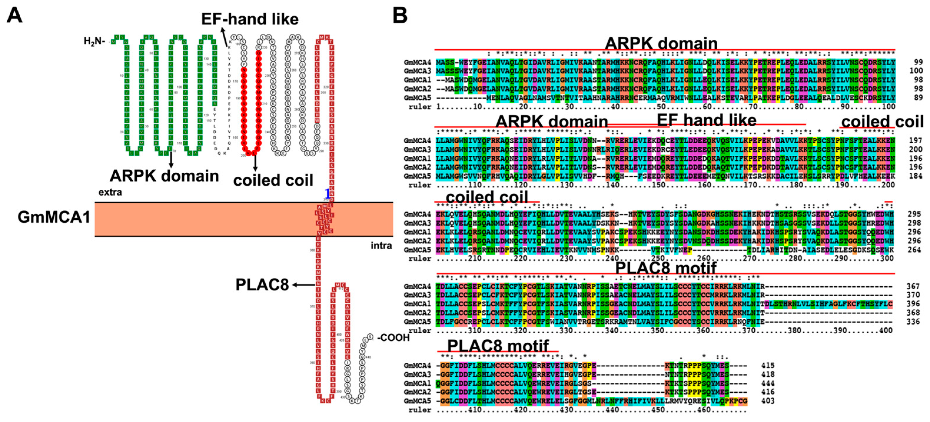 Ijms 23 14220 g008 Ijms 23 14220 g008