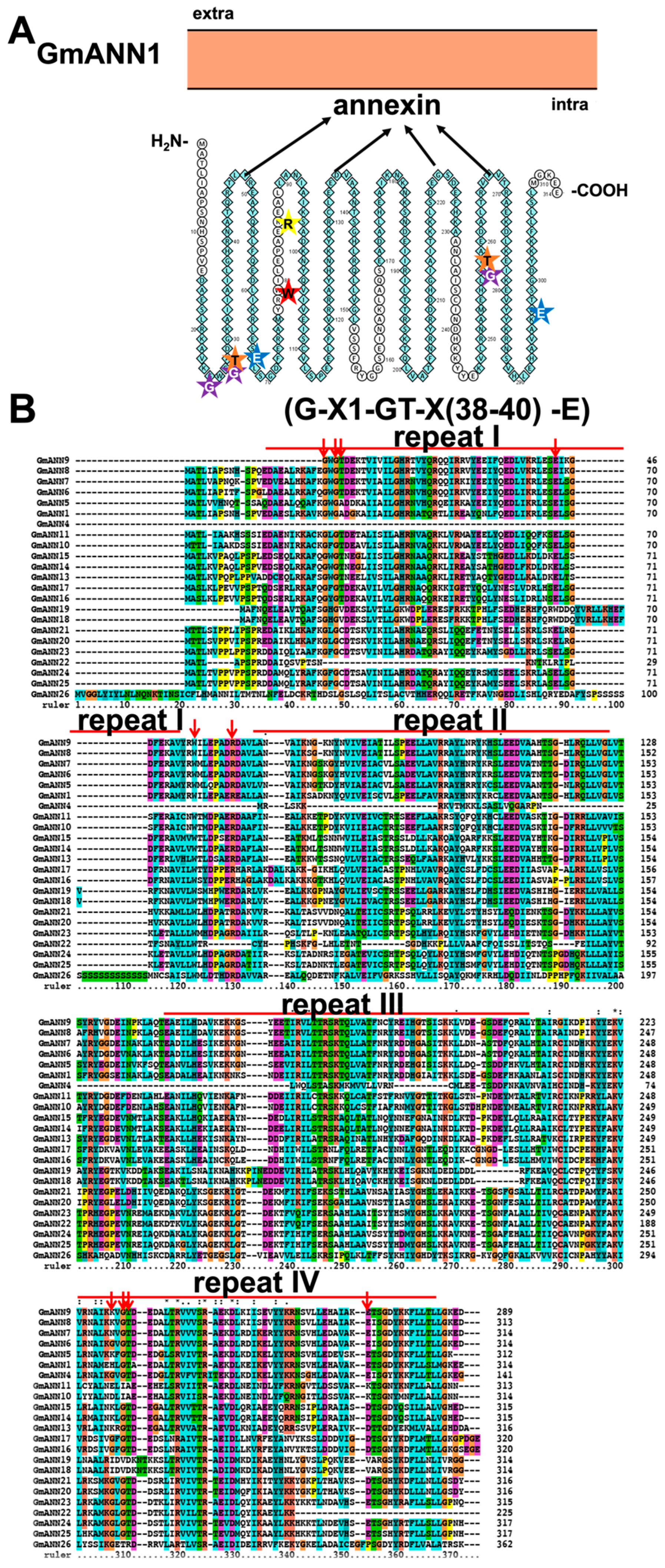 Ijms 23 14220 g009 Ijms 23 14220 g009