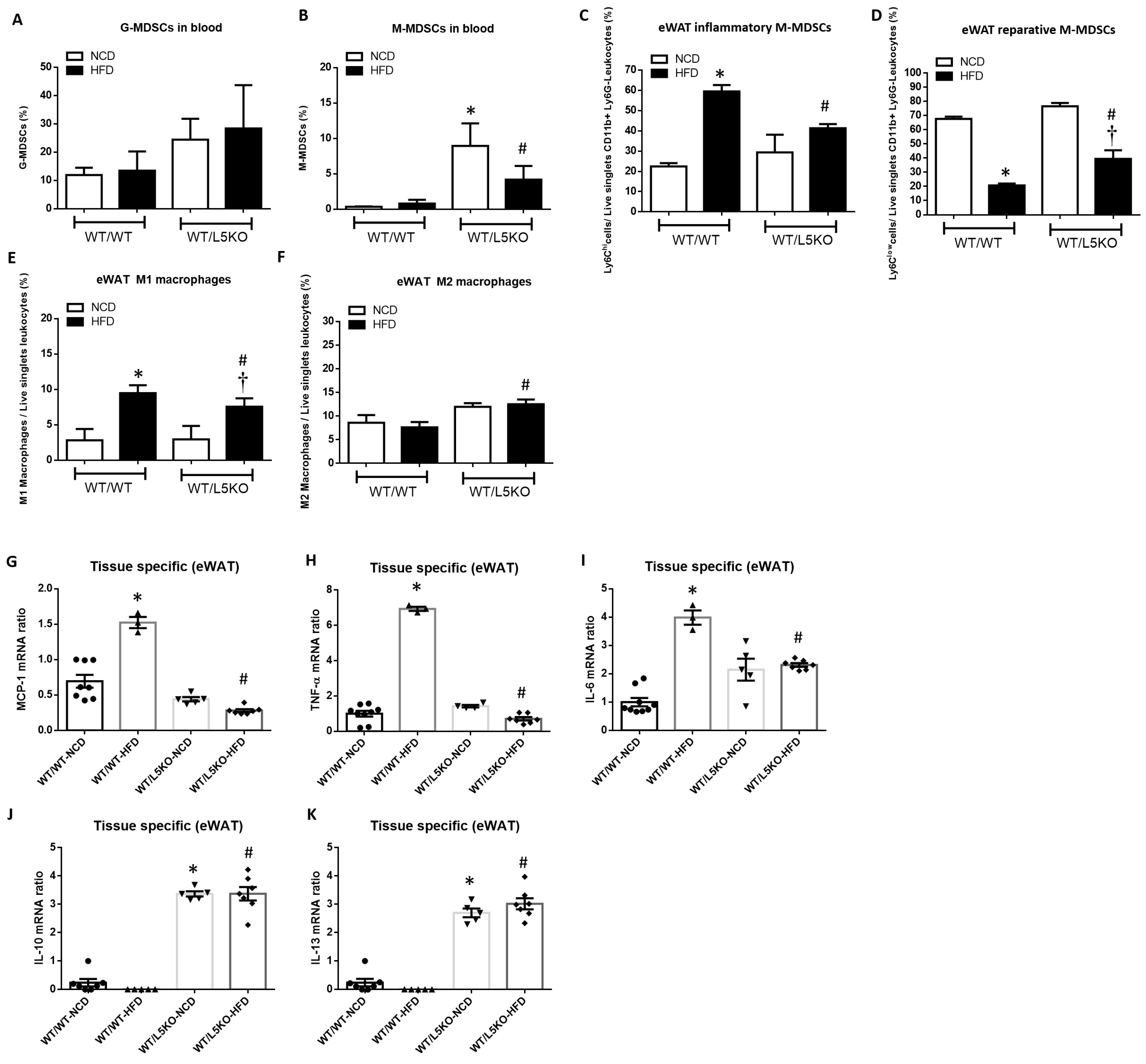 Ijms 23 14226 g005 Ijms 23 14226 g005