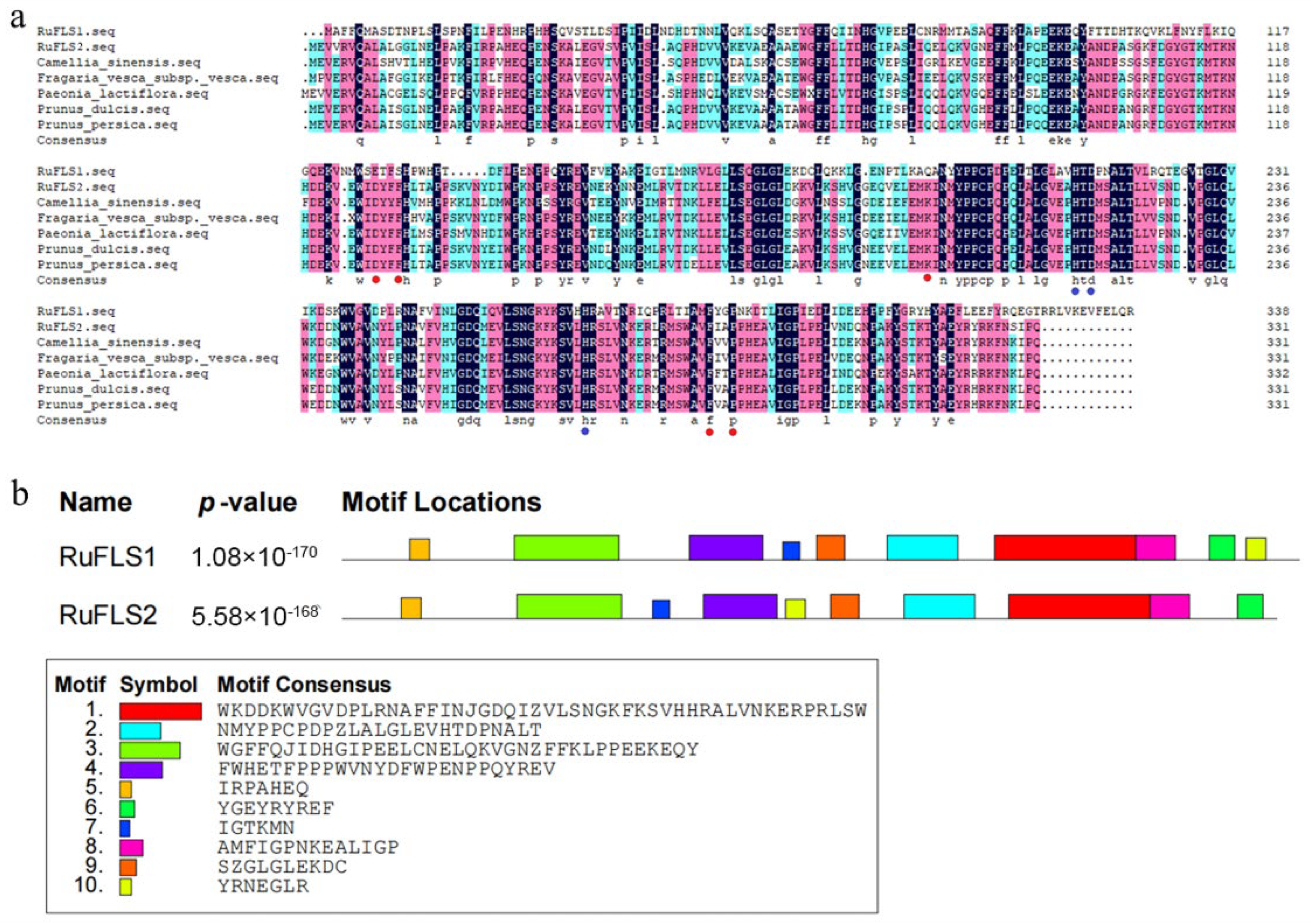 Ijms 23 14230 g002 Ijms 23 14230 g002