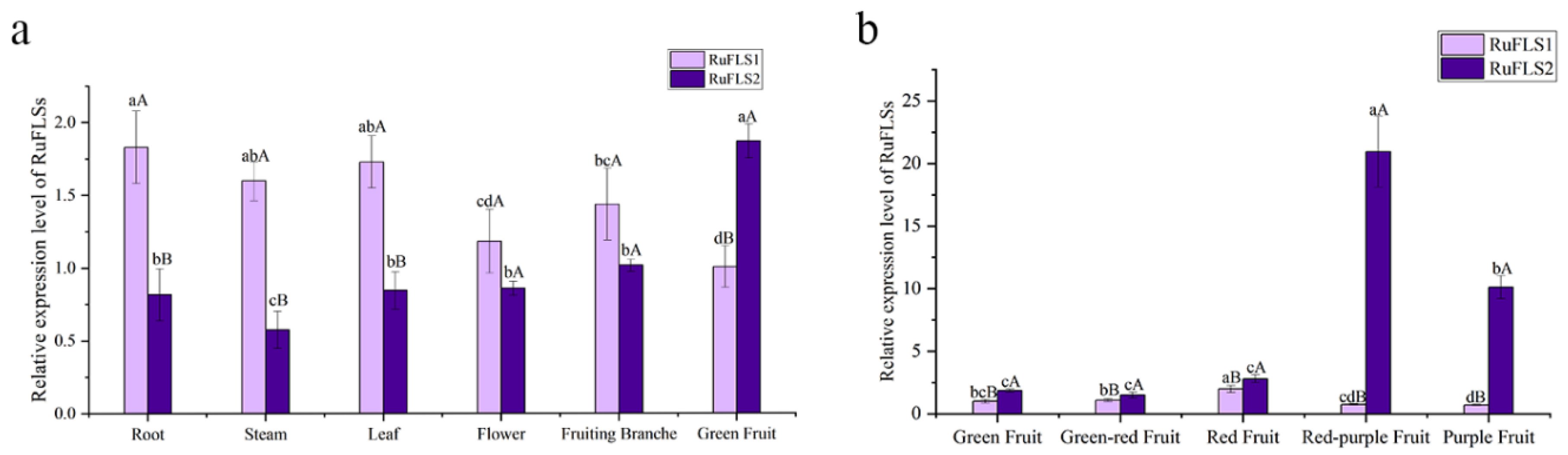 Ijms 23 14230 g004 Ijms 23 14230 g004