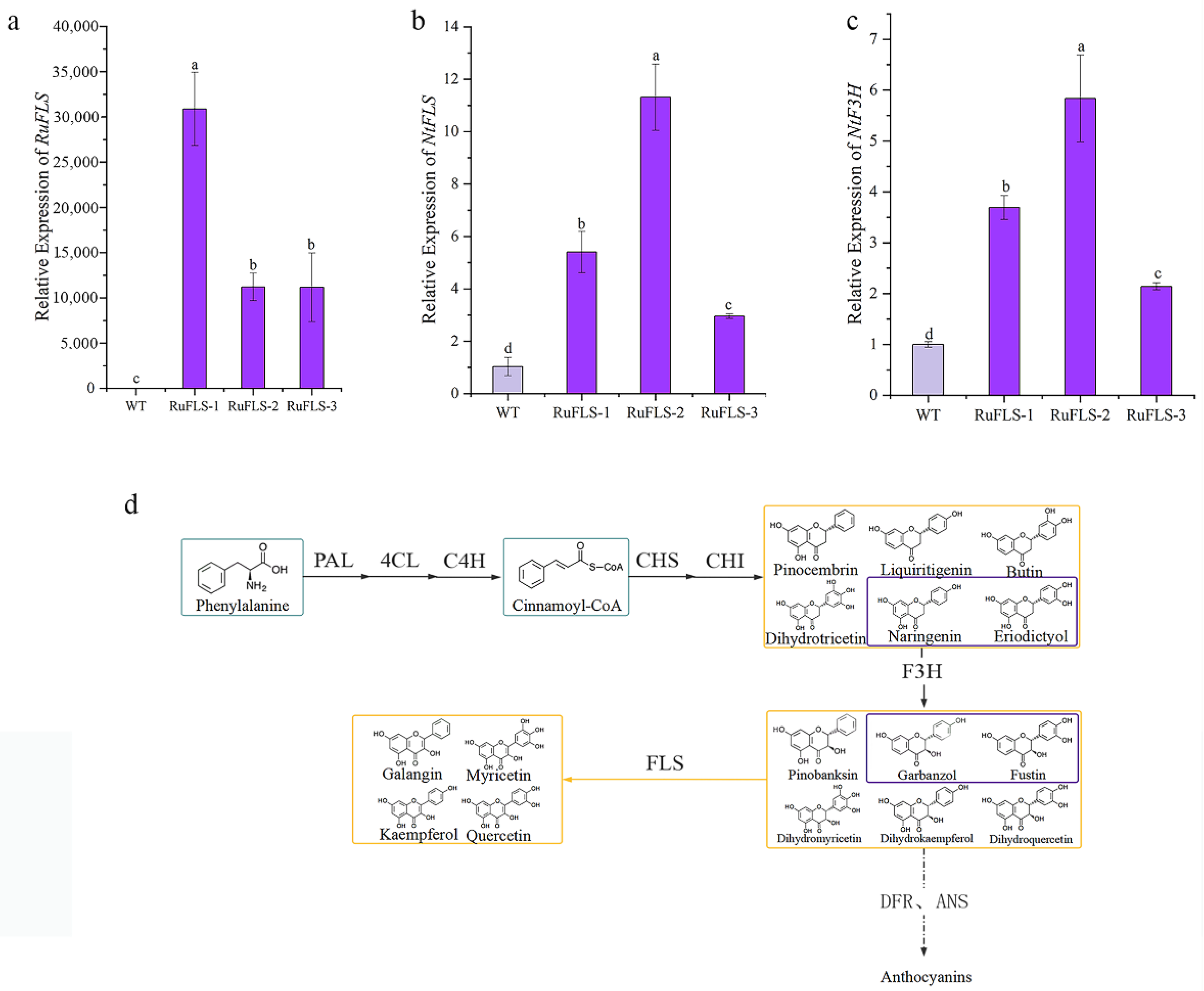 Ijms 23 14230 g005 Ijms 23 14230 g005