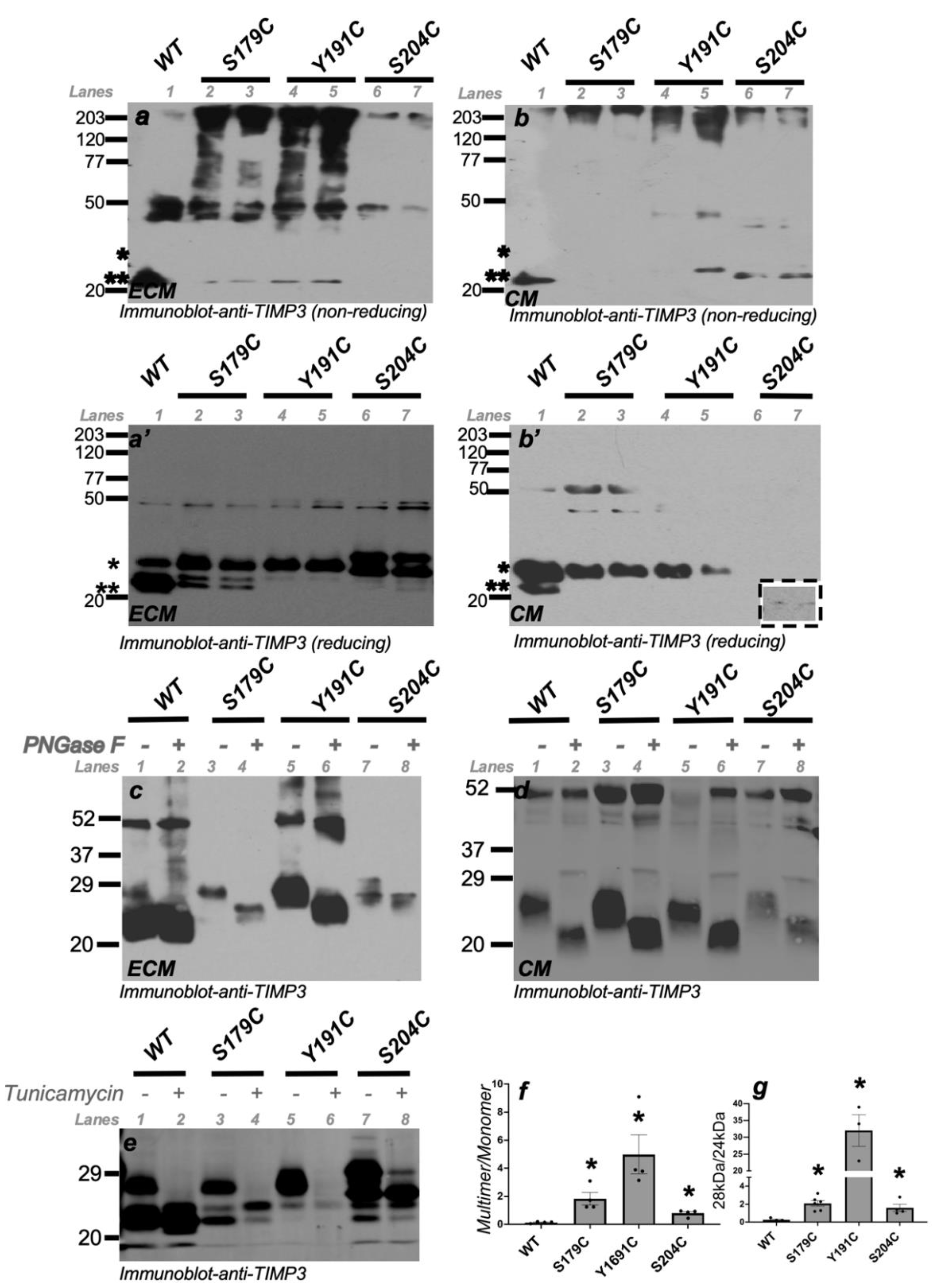 Ijms 23 14231 g001 Ijms 23 14231 g001