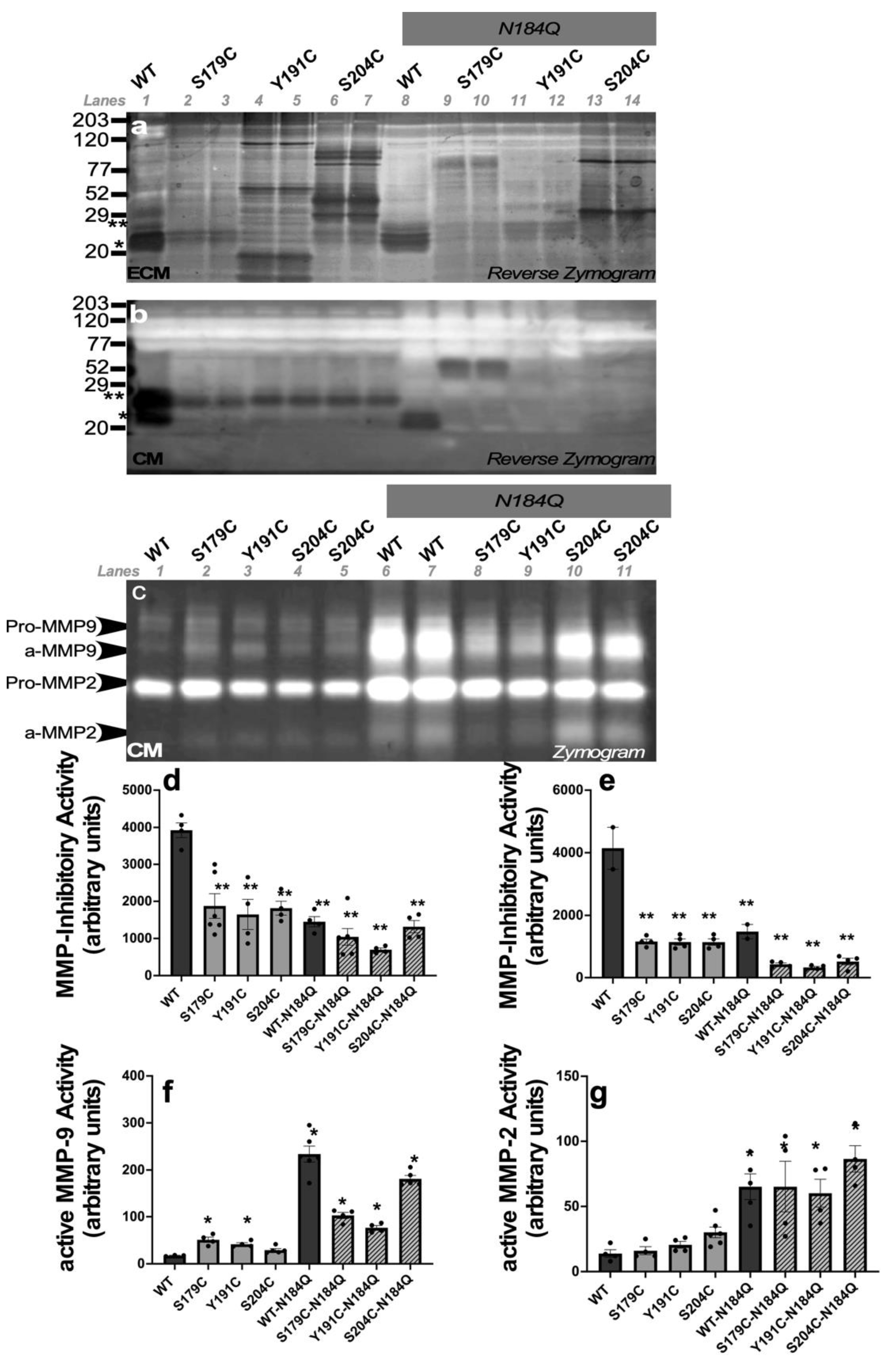 Ijms 23 14231 g003 Ijms 23 14231 g003