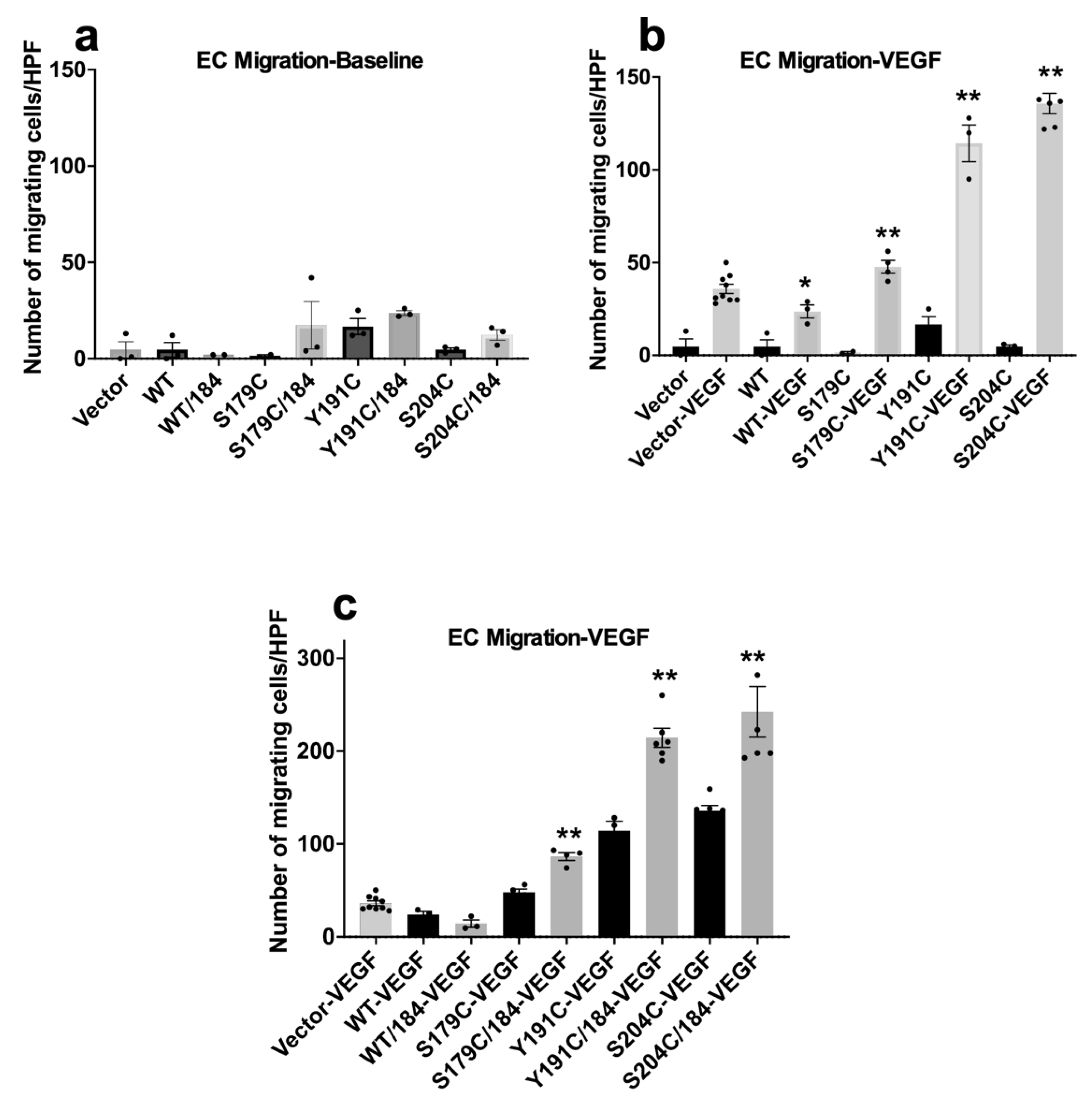 Ijms 23 14231 g005 Ijms 23 14231 g005