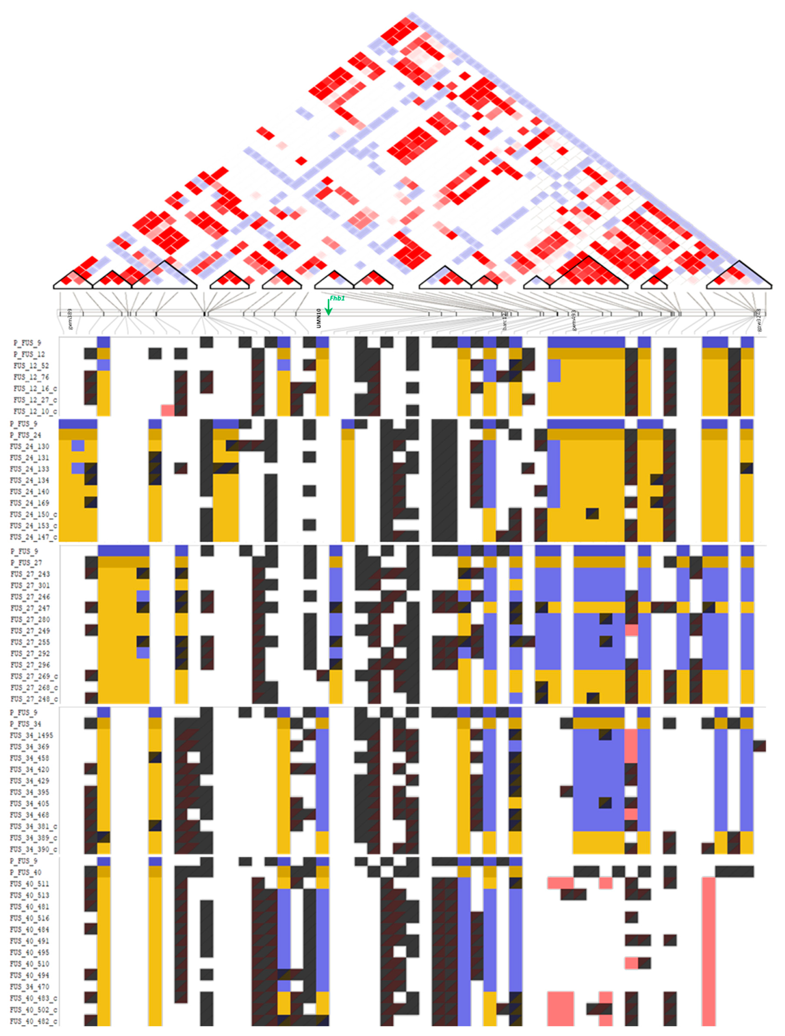 Ijms 23 14233 g004 Ijms 23 14233 g004