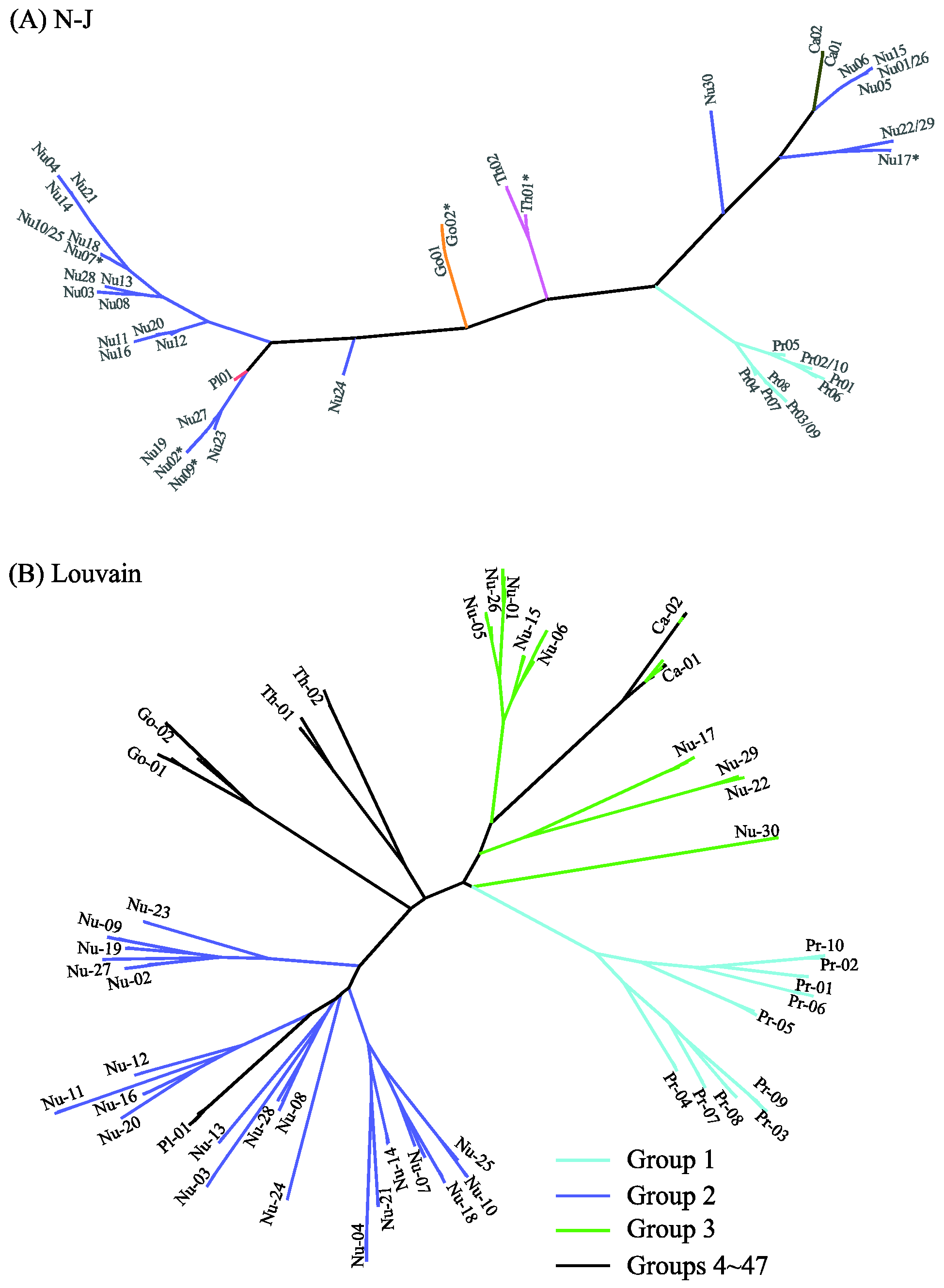 Ijms 23 14240 g008 Ijms 23 14240 g008