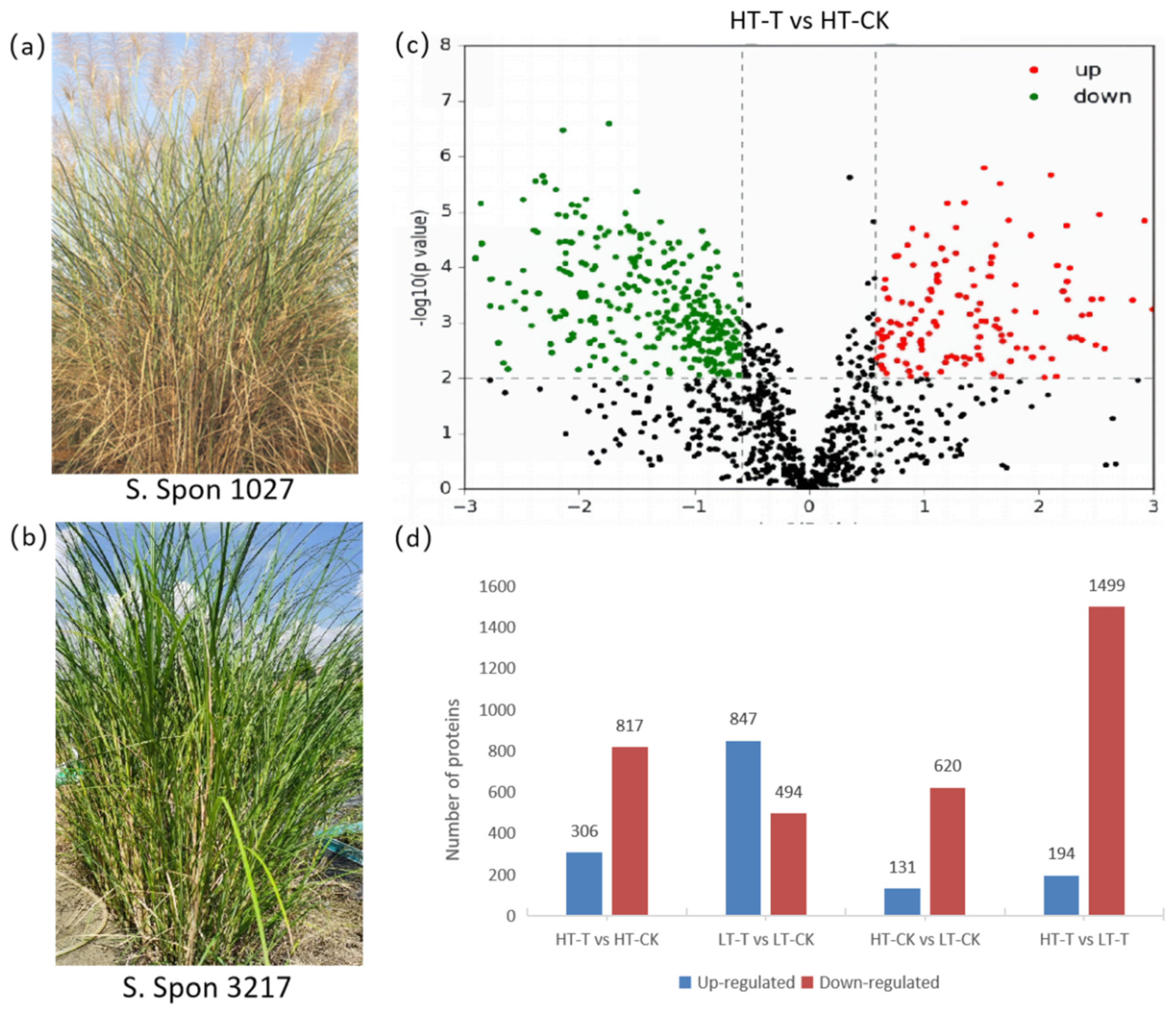 Ijms 23 14244 g002 Ijms 23 14244 g002