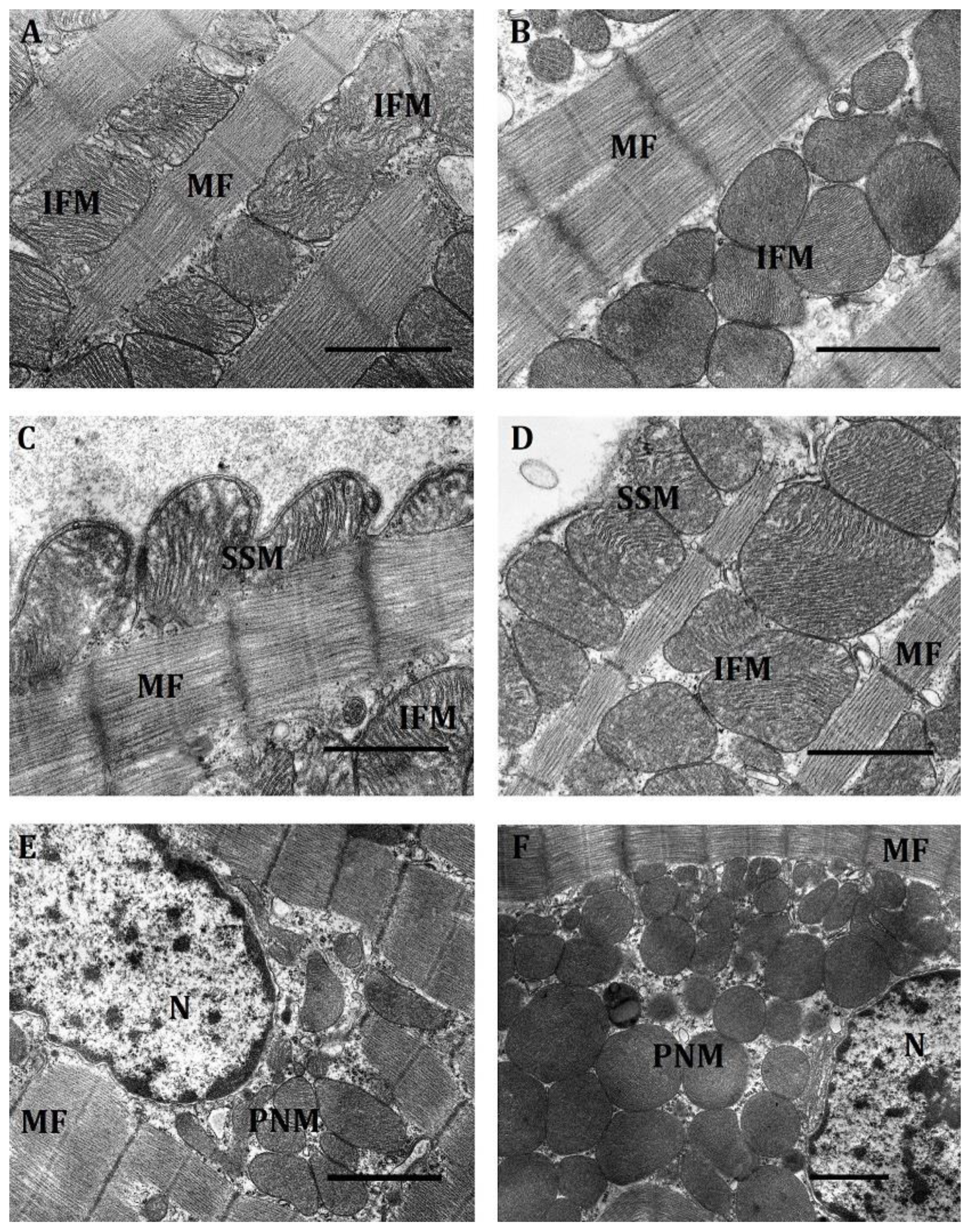 Ijms 23 14248 g002 Ijms 23 14248 g002