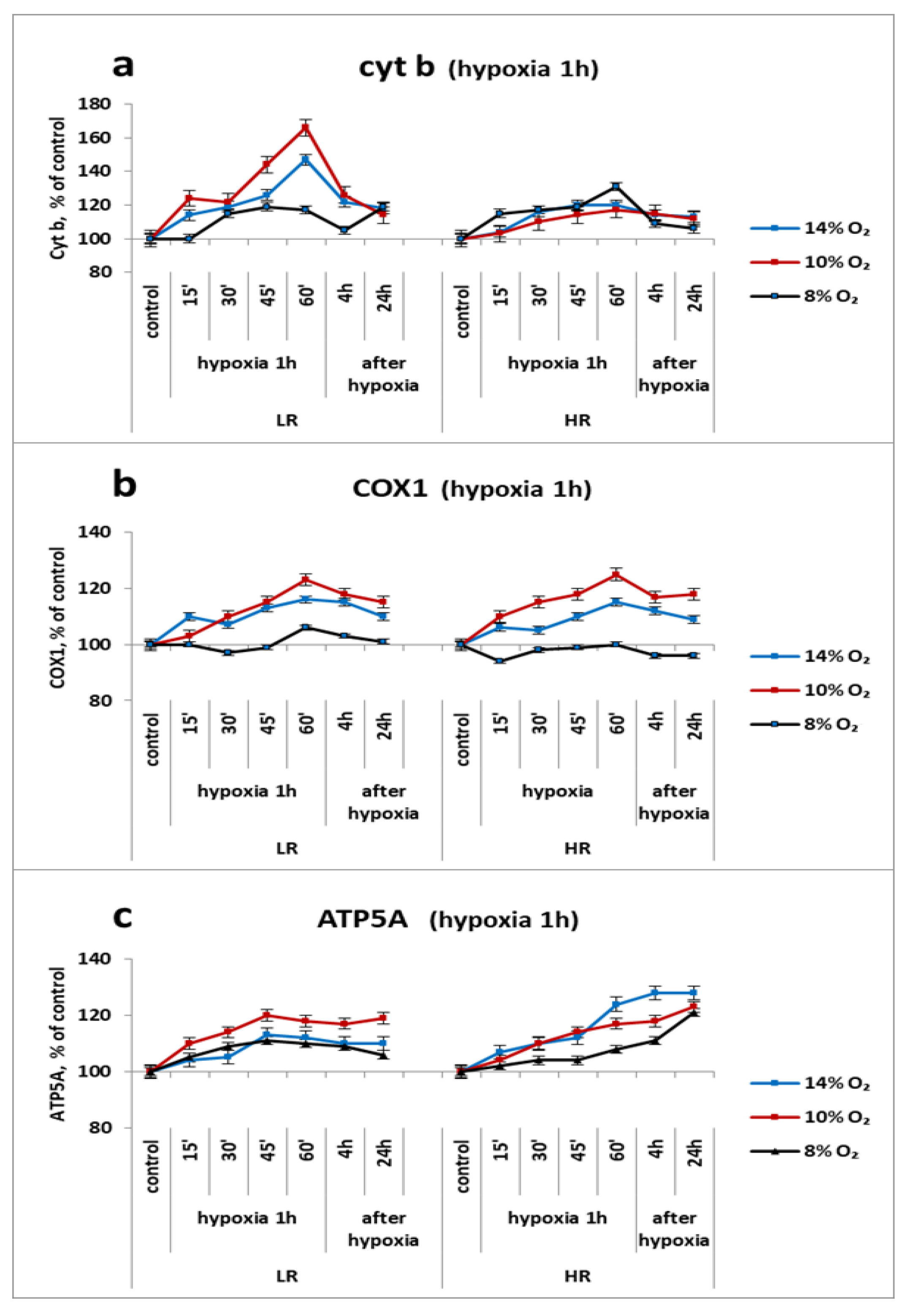 Ijms 23 14248 g004 Ijms 23 14248 g004