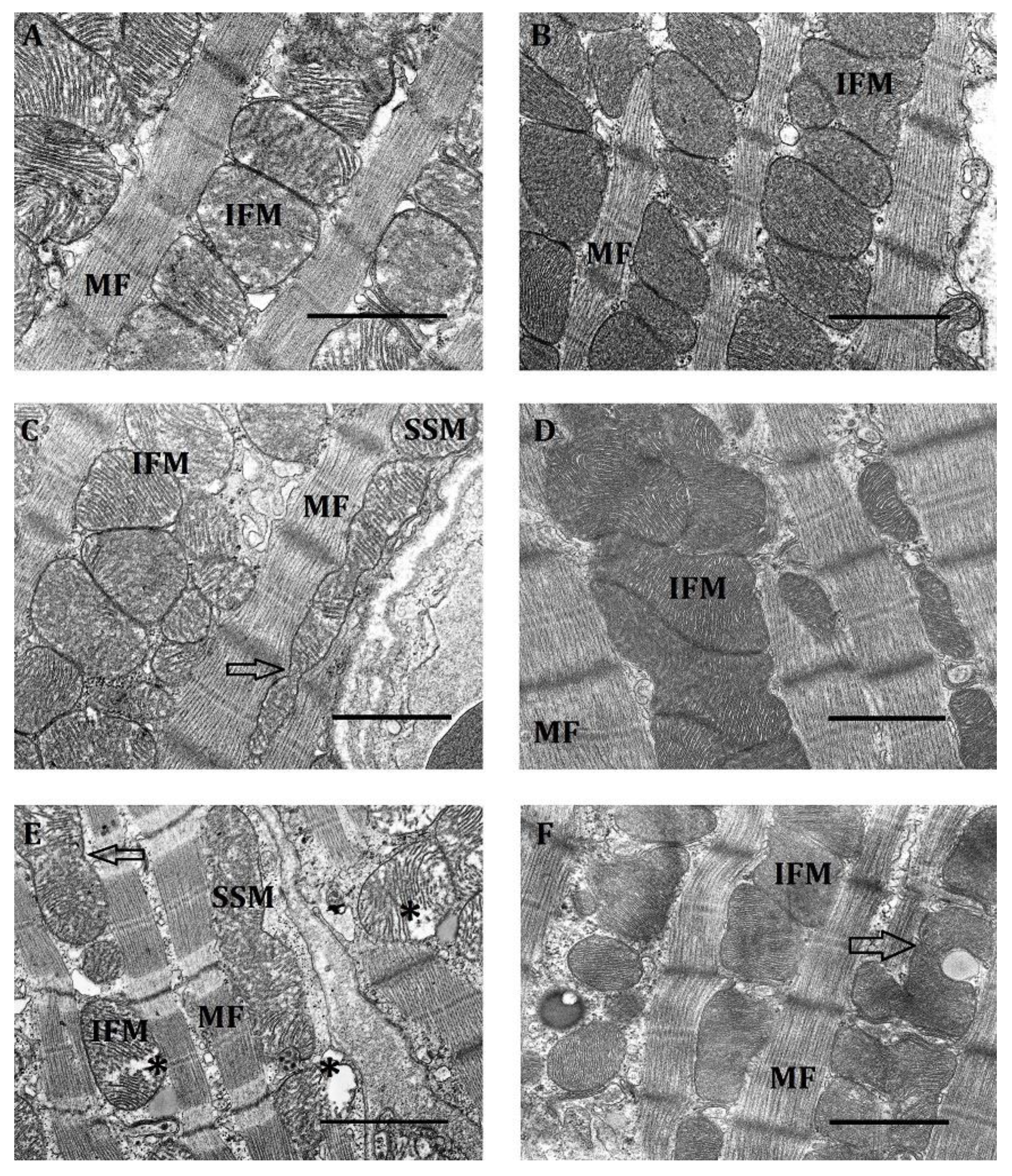 Ijms 23 14248 g006 Ijms 23 14248 g006