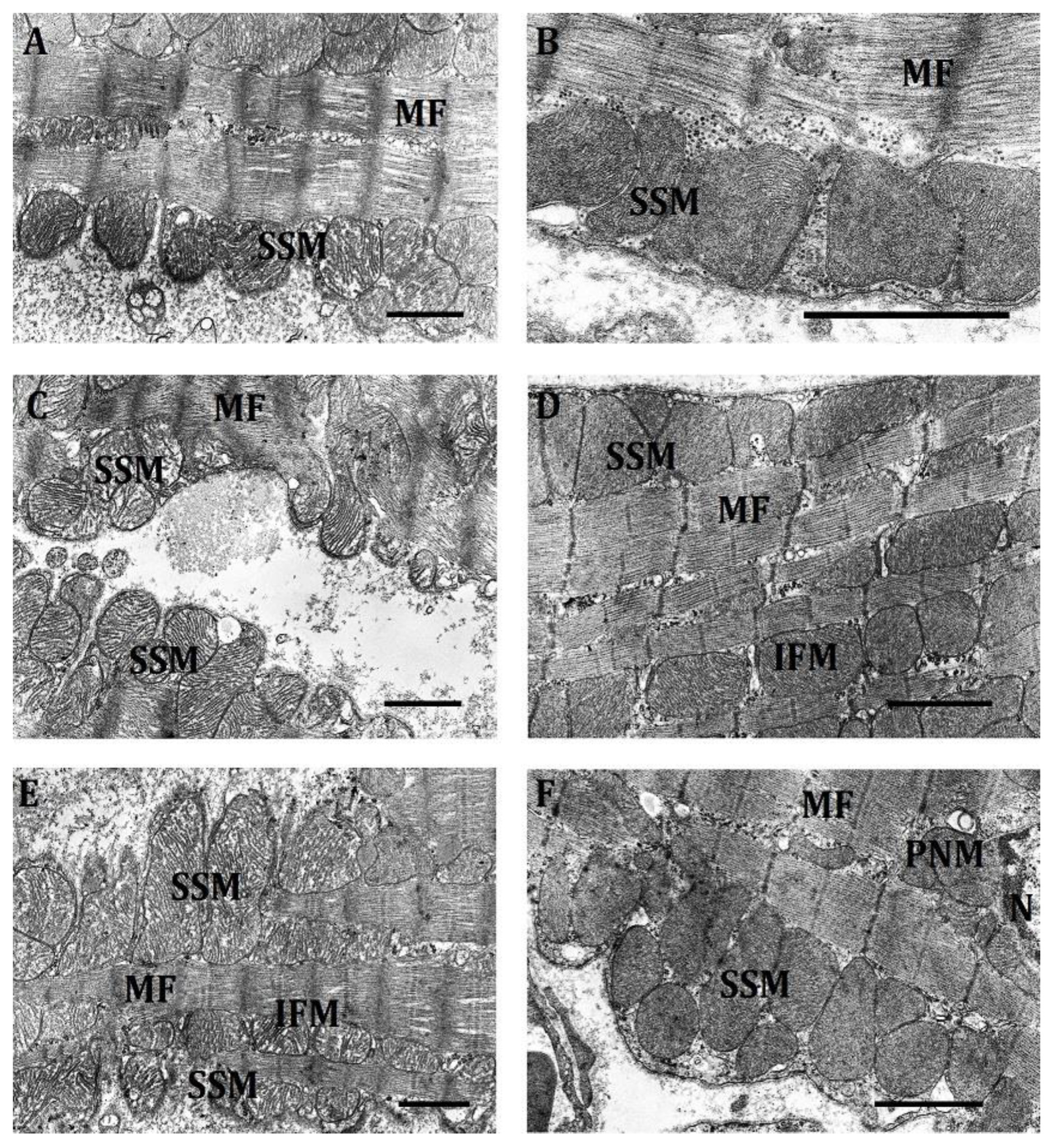 Ijms 23 14248 g007 Ijms 23 14248 g007