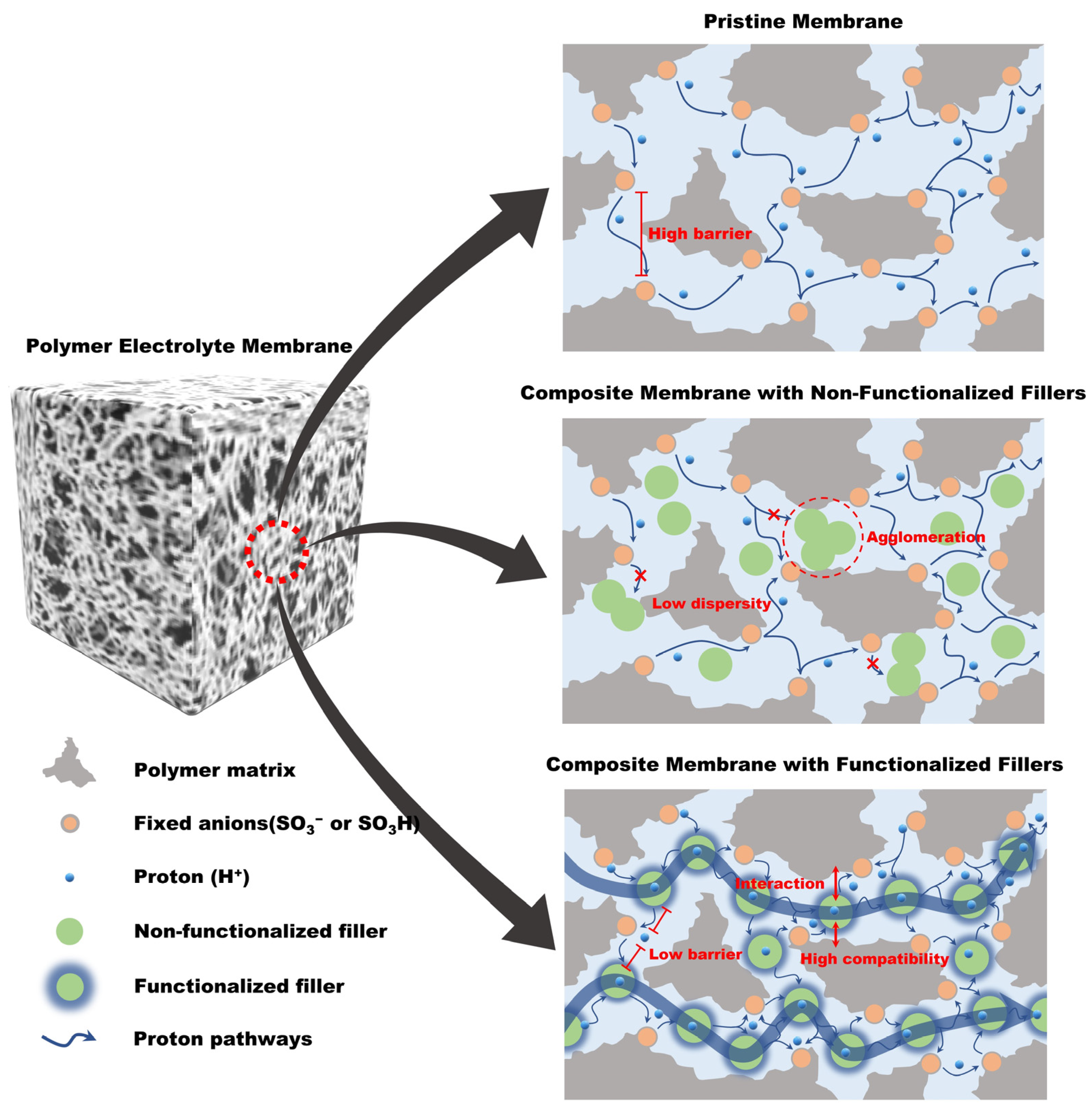 Ijms 23 14252 g003 Ijms 23 14252 g003