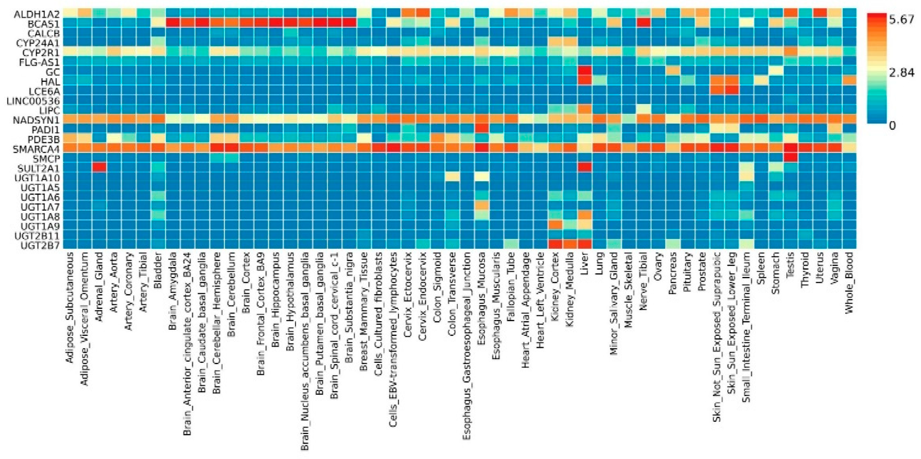 Ijms 23 14256 g001 Ijms 23 14256 g001
