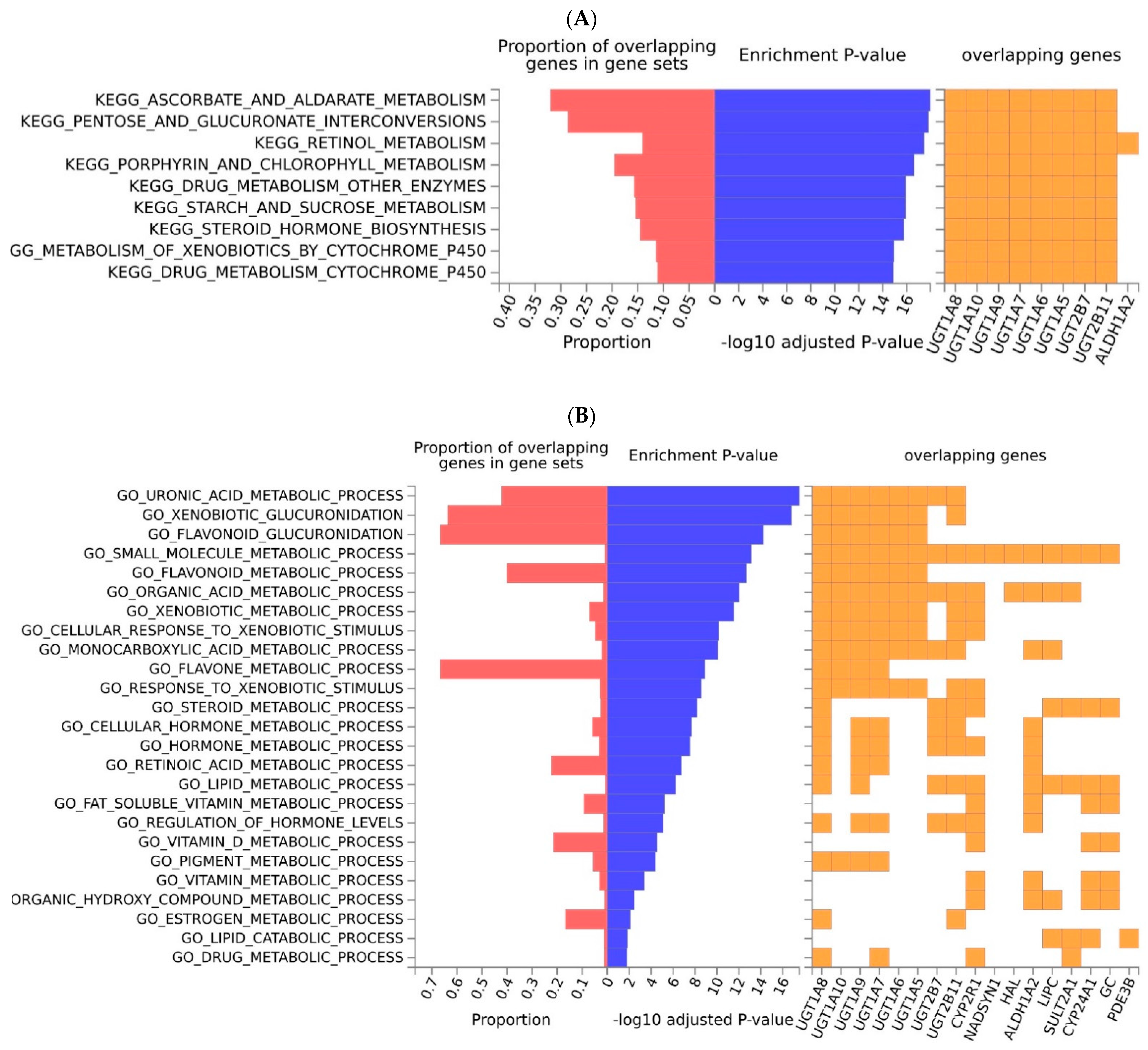 Ijms 23 14256 g002 Ijms 23 14256 g002