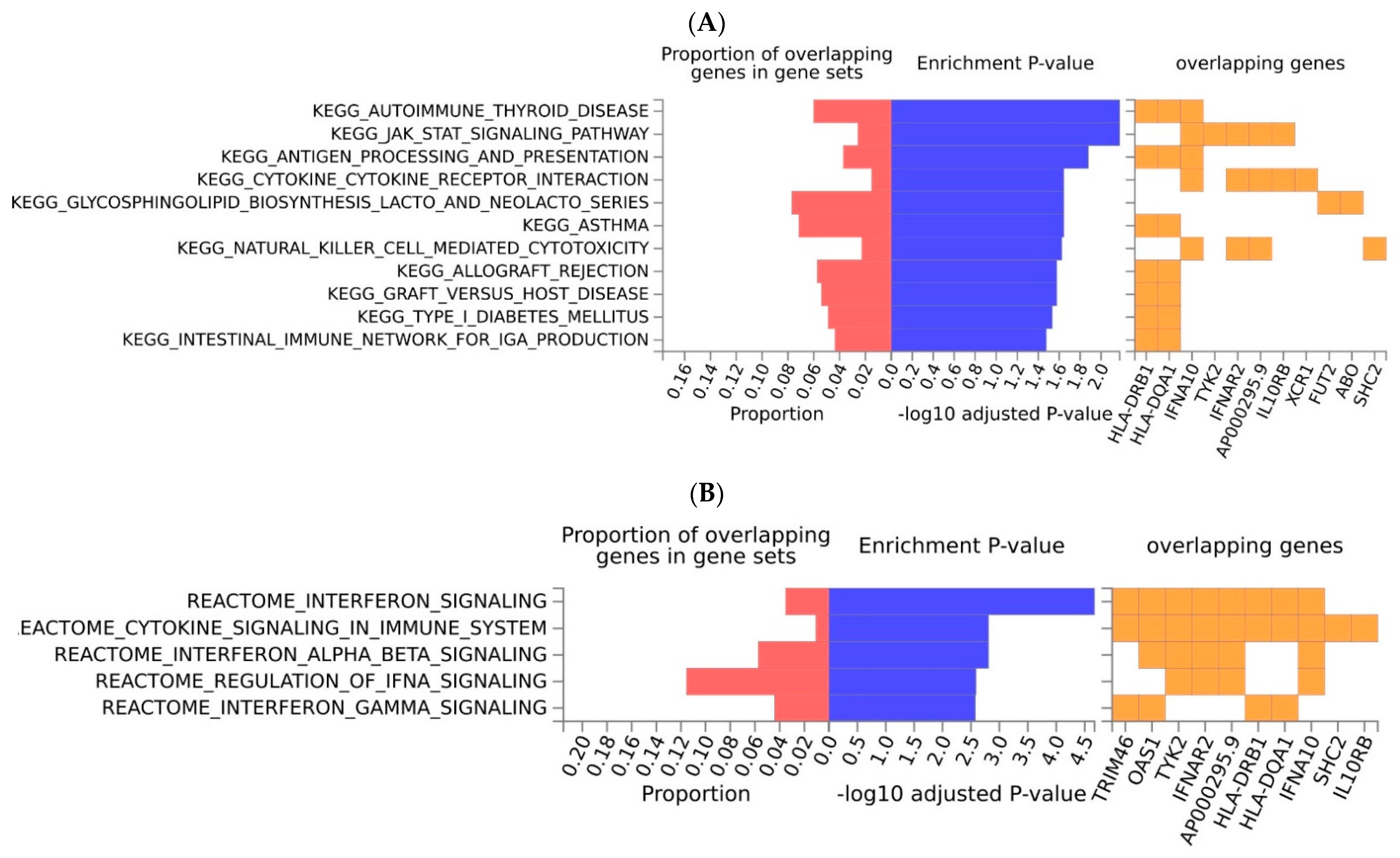 Ijms 23 14256 g003 Ijms 23 14256 g003
