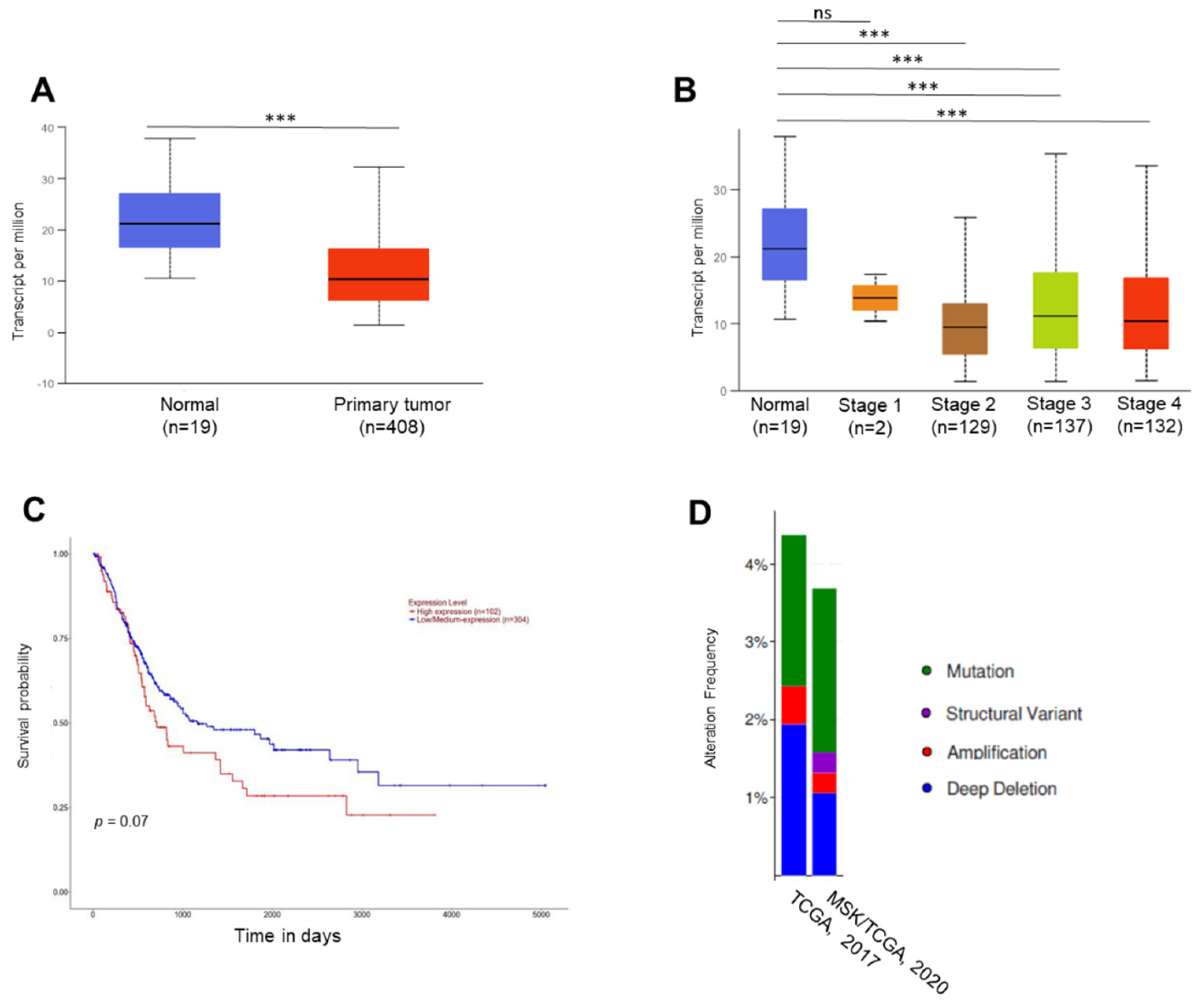 Ijms 23 14283 g001 Ijms 23 14283 g001