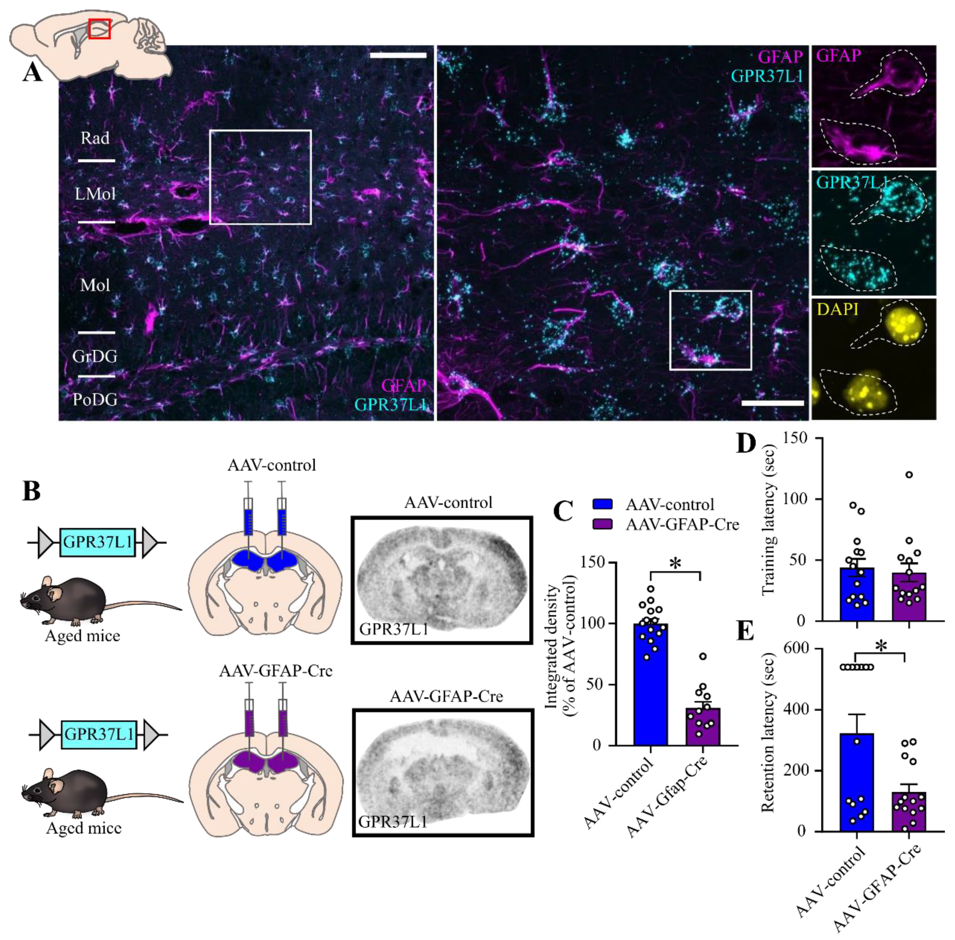 Ijms 23 14290 g004 Ijms 23 14290 g004
