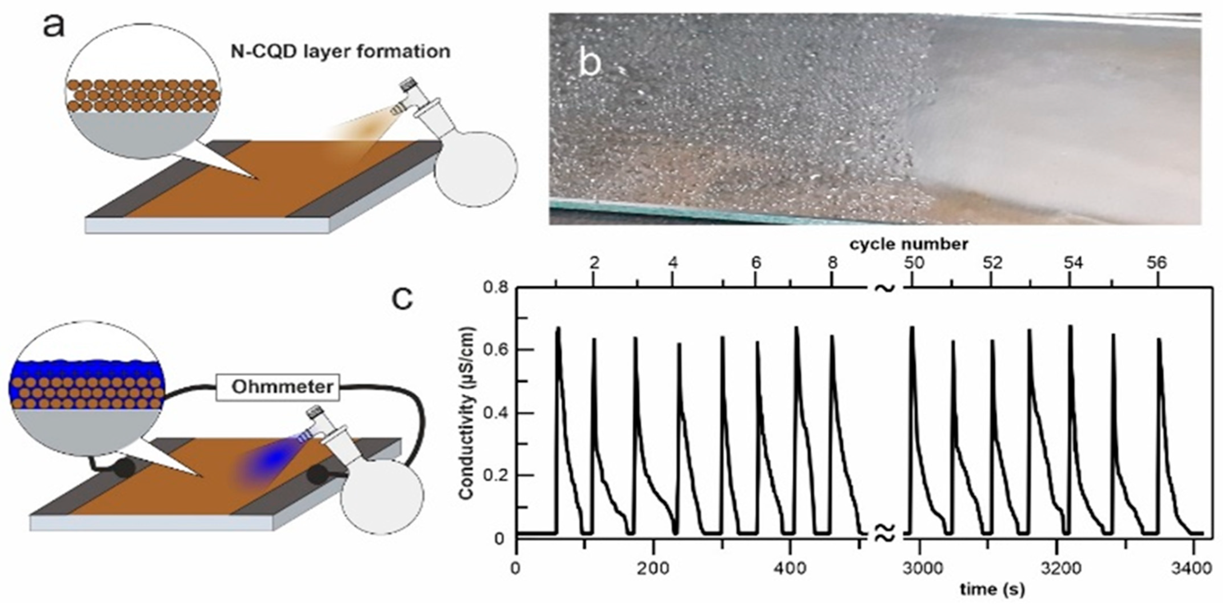 Ijms 23 14292 g001 Ijms 23 14292 g001