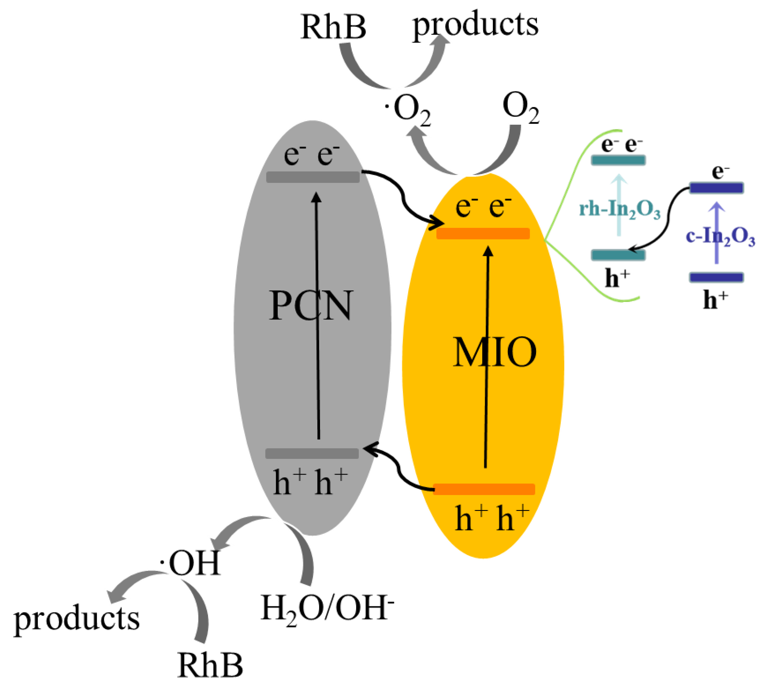 Ijms 23 14293 sch002 Ijms 23 14293 sch002