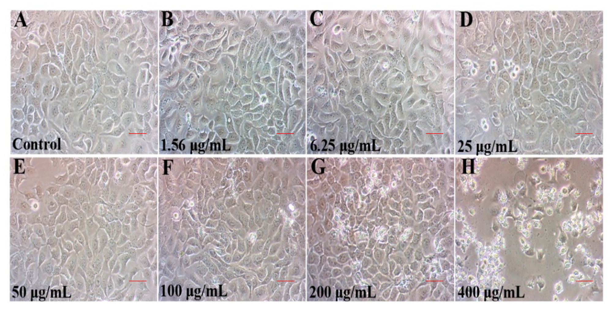 Ijms 23 14306 g002 Ijms 23 14306 g002