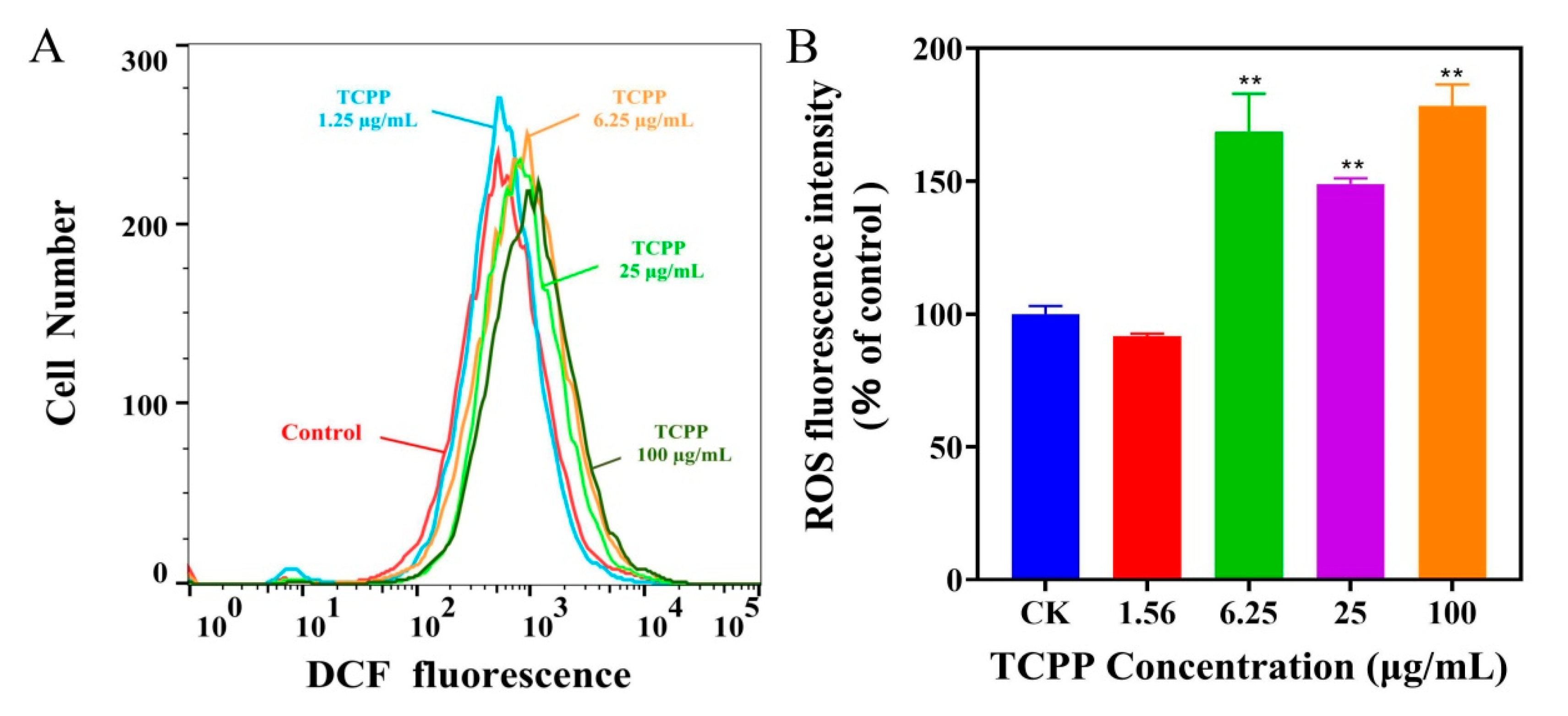 Ijms 23 14306 g003 Ijms 23 14306 g003