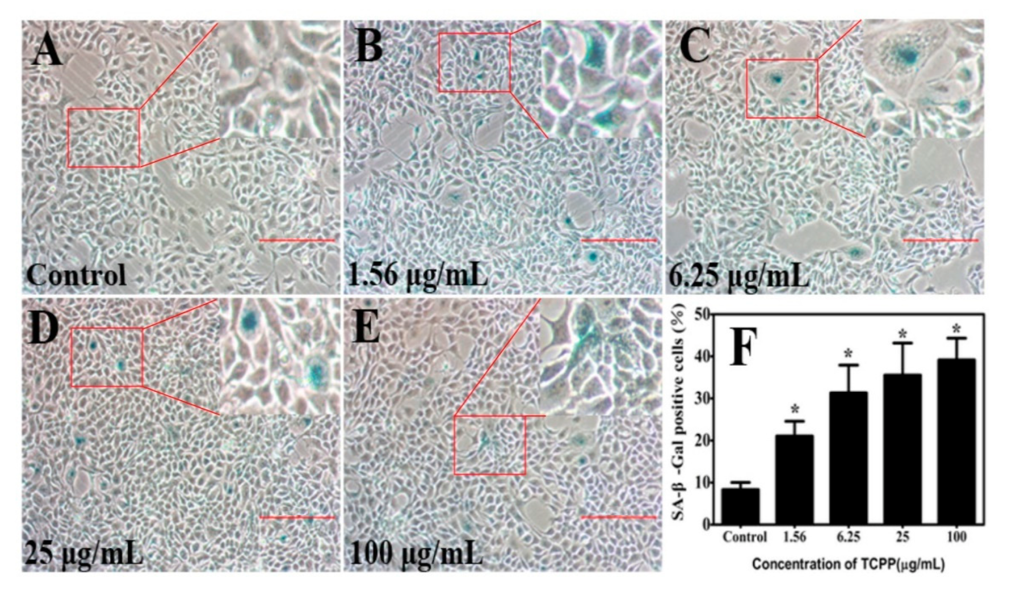 Ijms 23 14306 g006 Ijms 23 14306 g006