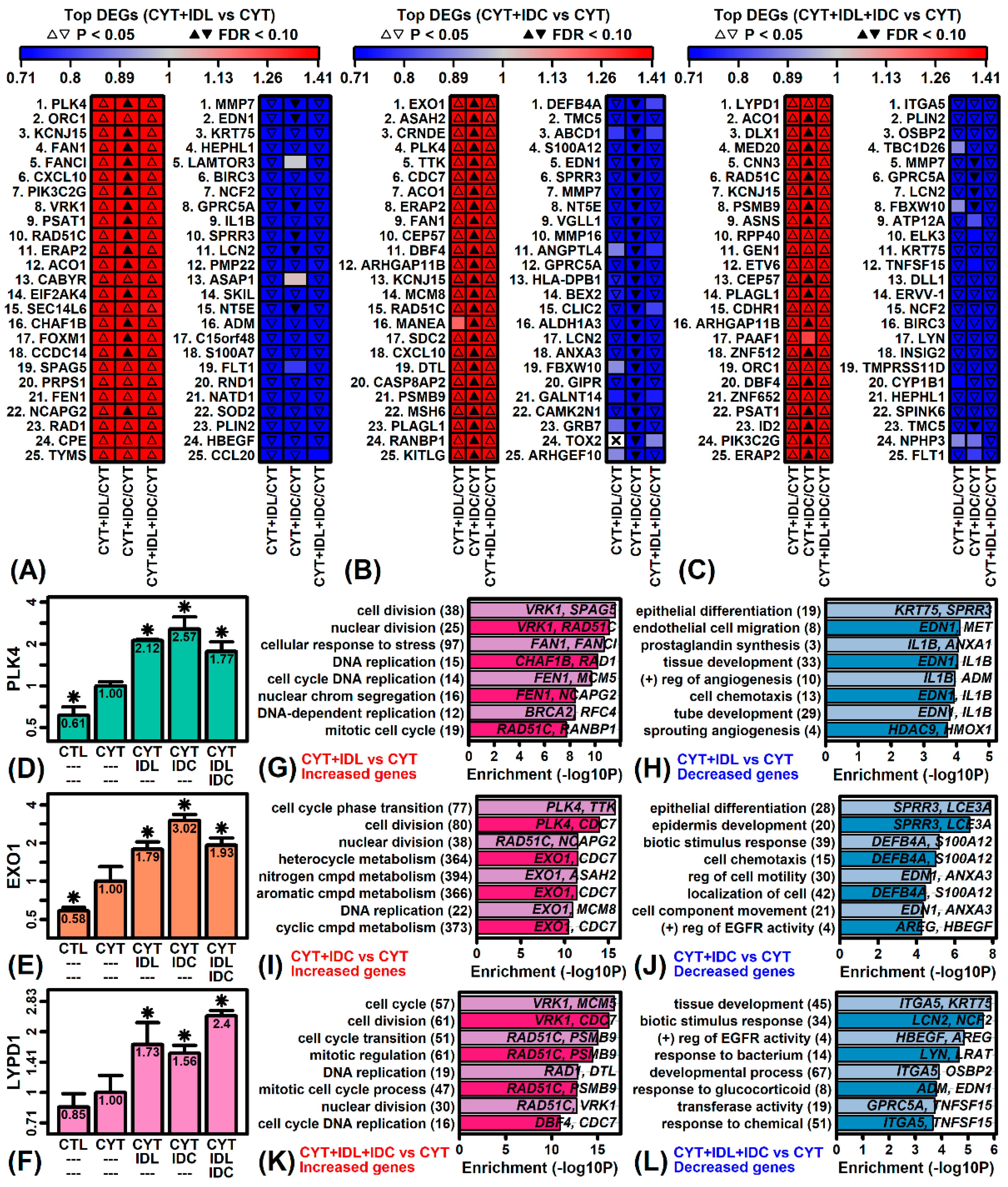 Ijms 23 14307 g003 Ijms 23 14307 g003